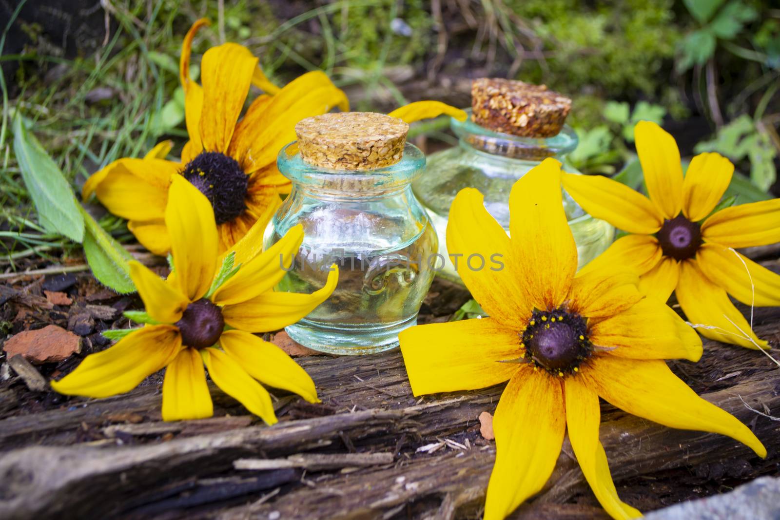 Essential oil of Echinacea or rudbeckia, vintage little bottles