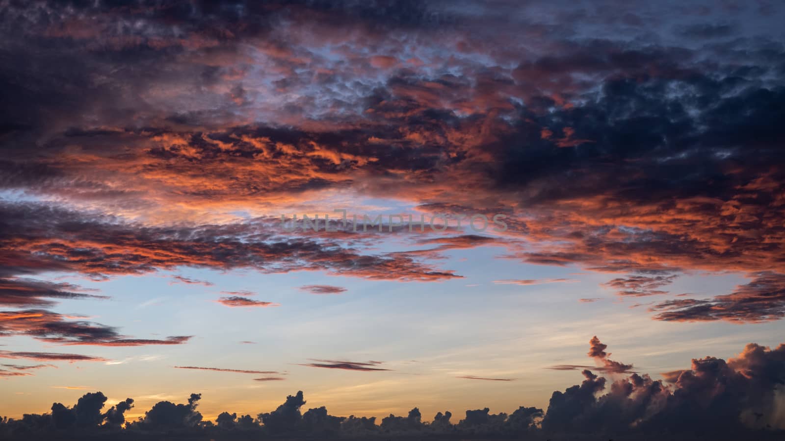 Sunrise sky, the clouds and sky background.