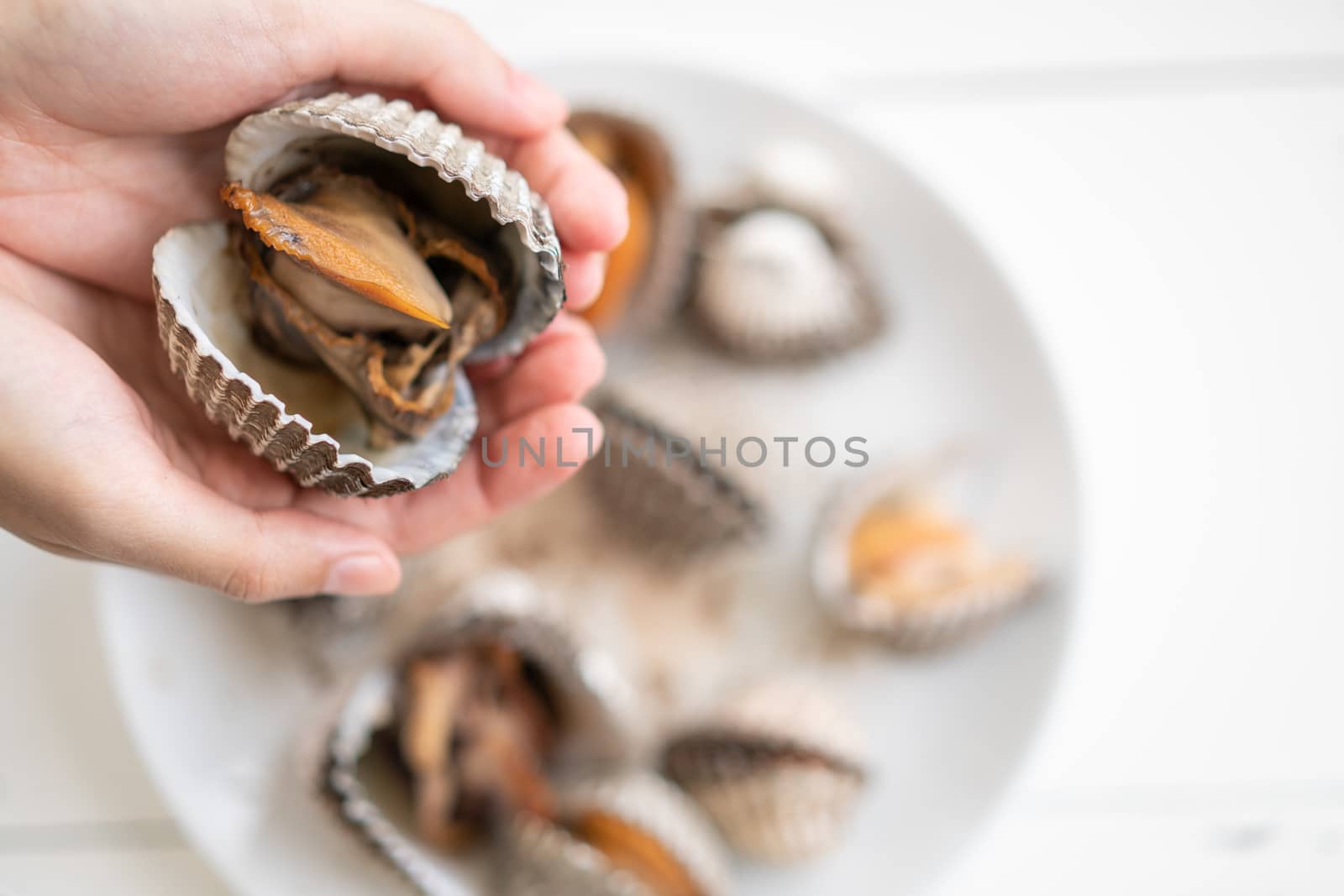 Big cockles seafood in woman hand, cockles or scallop fresh shellfish.