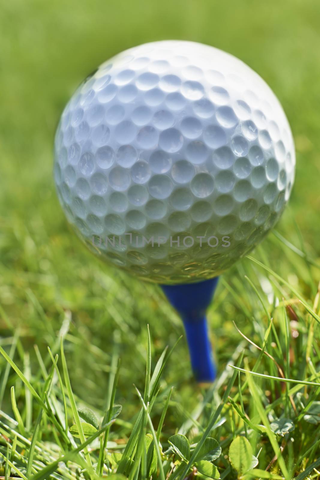 Close-up of golf ball resting on blue tee with grass and space for copy