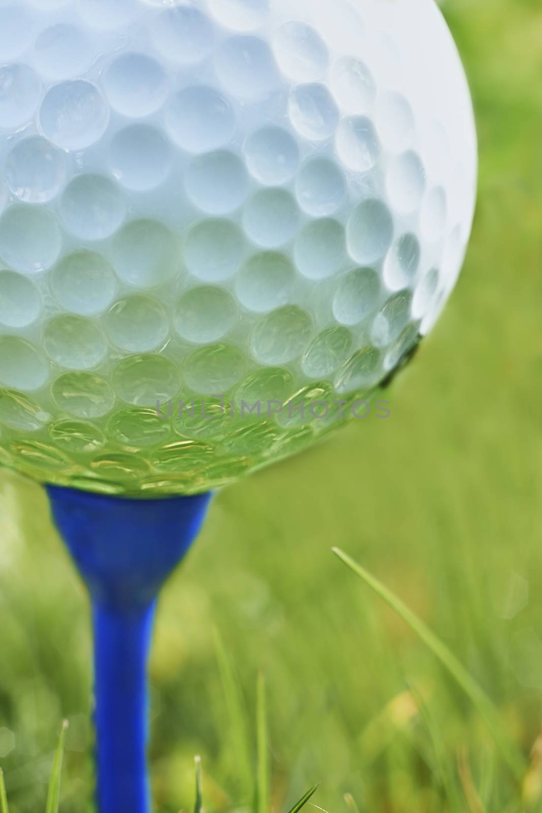 Close-up of golf ball resting on blue tee with grass and space for copy