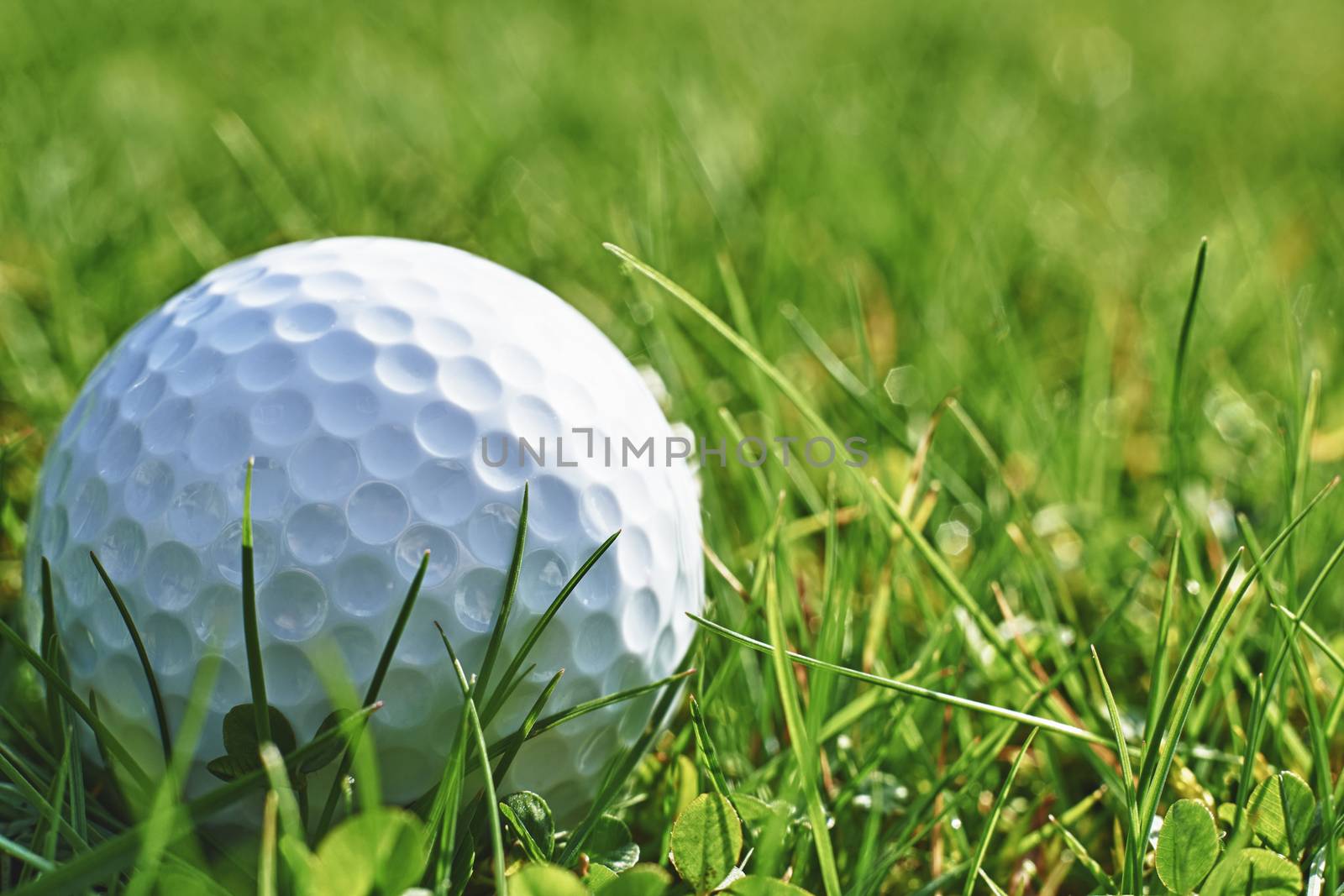 Close-up of golf ball resting in grass and space for copy