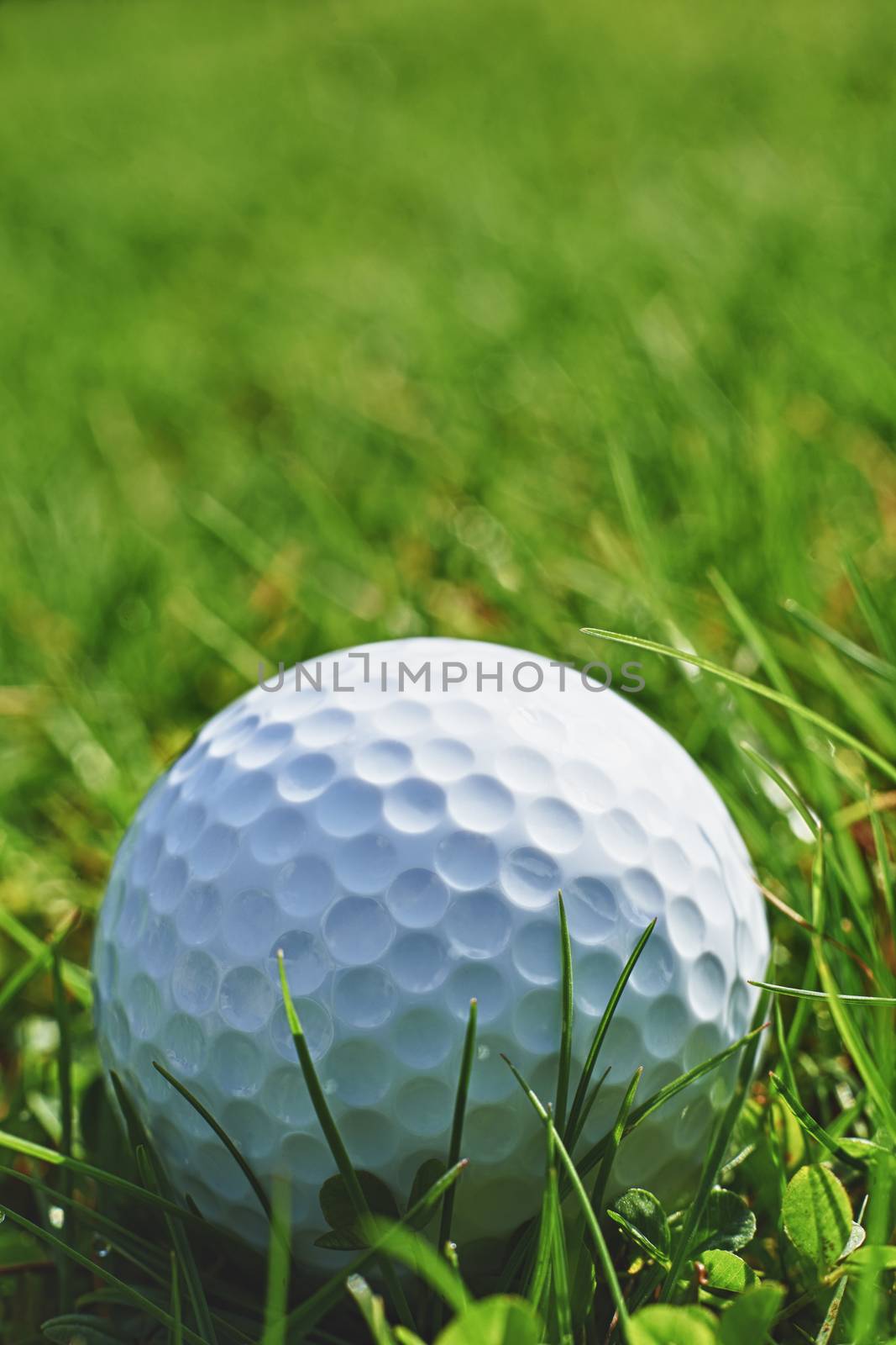 Close-up of golf ball resting in grass and space for copy