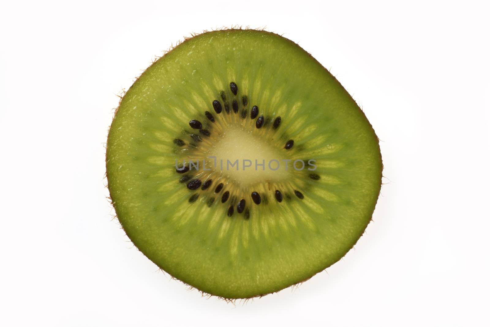 Kiwi by gemphotography