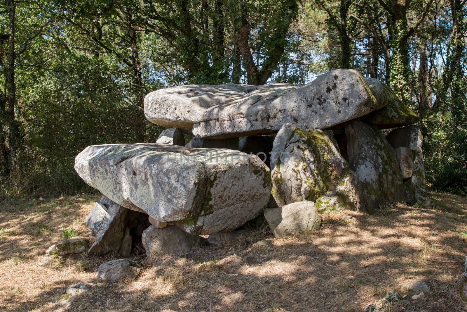 Dolmen de Roch-Feutet near Carnac in Britanny, France