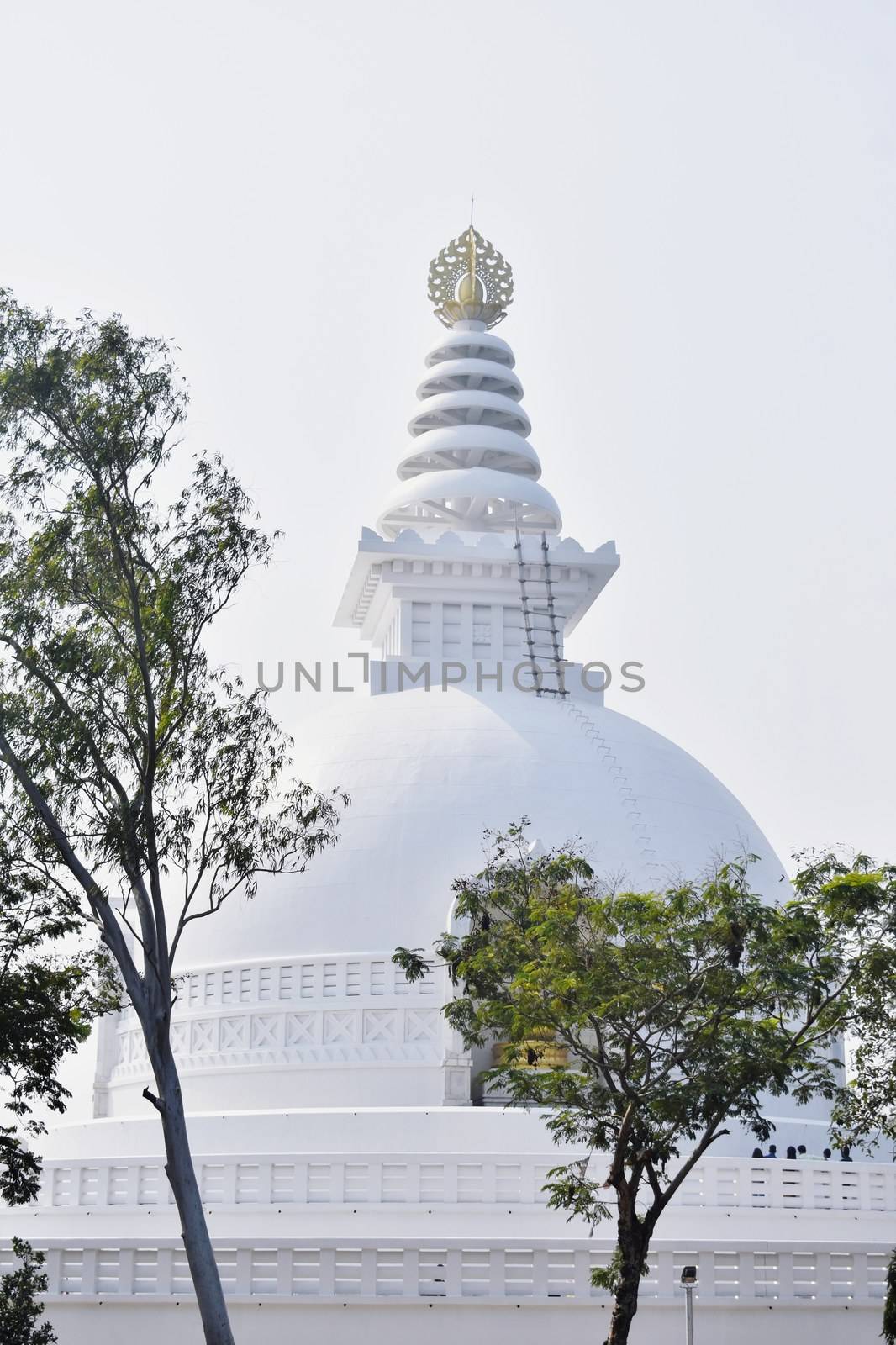 shanti stupa Rajgir, India by ravindrabhu165165@gmail.com