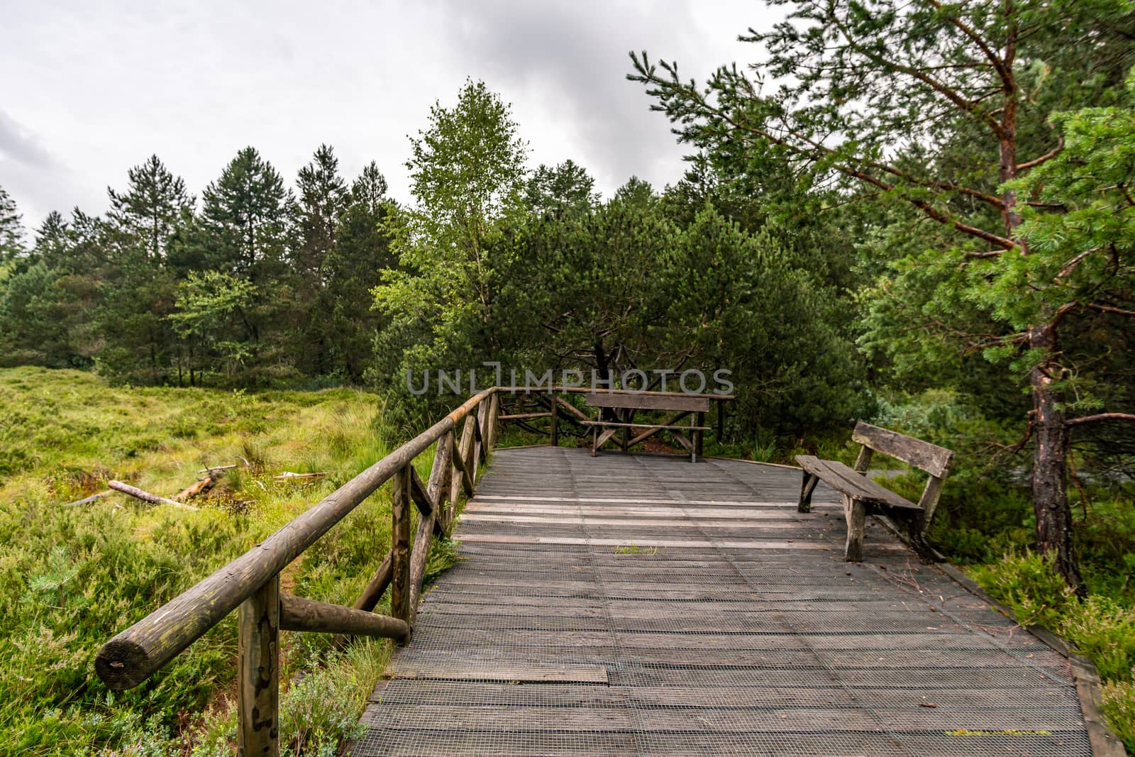 The beautiful nature reserve Wilhelmsdorf Pfrunger Ried in Upper Swabia near Ravensburg and Lake Constance