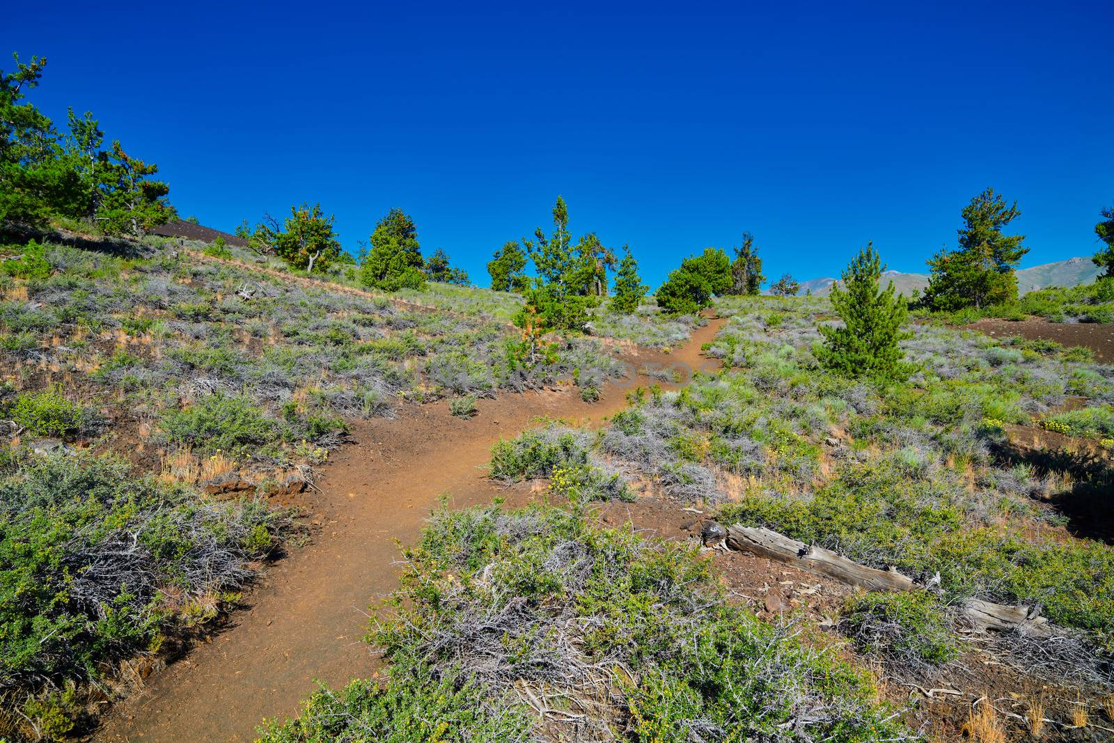Hiking trail at Craters of the Moon National Park. by patrickstock