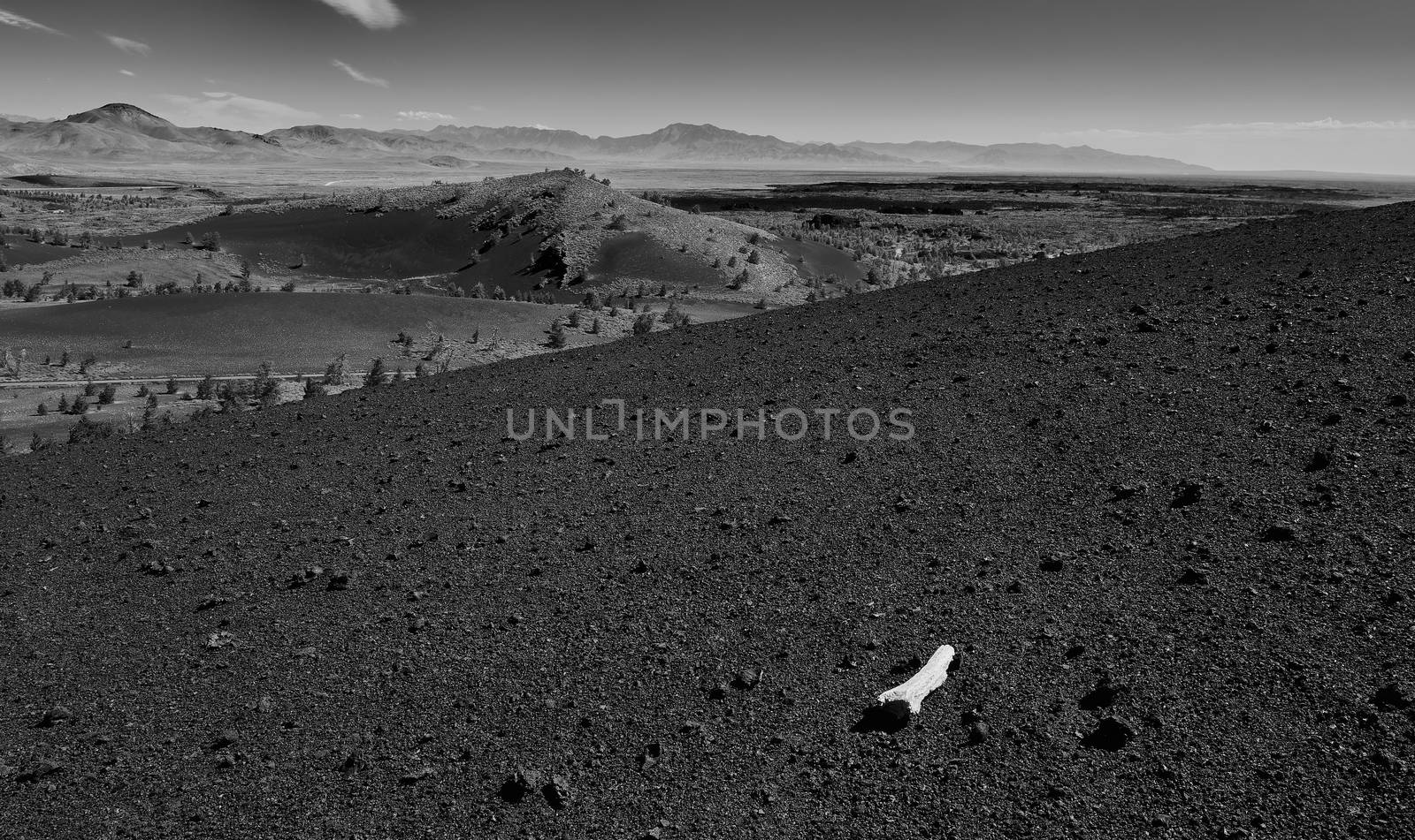 Piece of dead wood on Inferno Cone at Craters of the Moon Nation by patrickstock