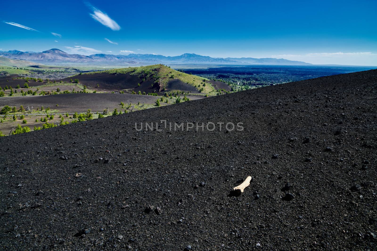 Piece of dead wood on Inferno Cone at Craters of the Moon Nation by patrickstock