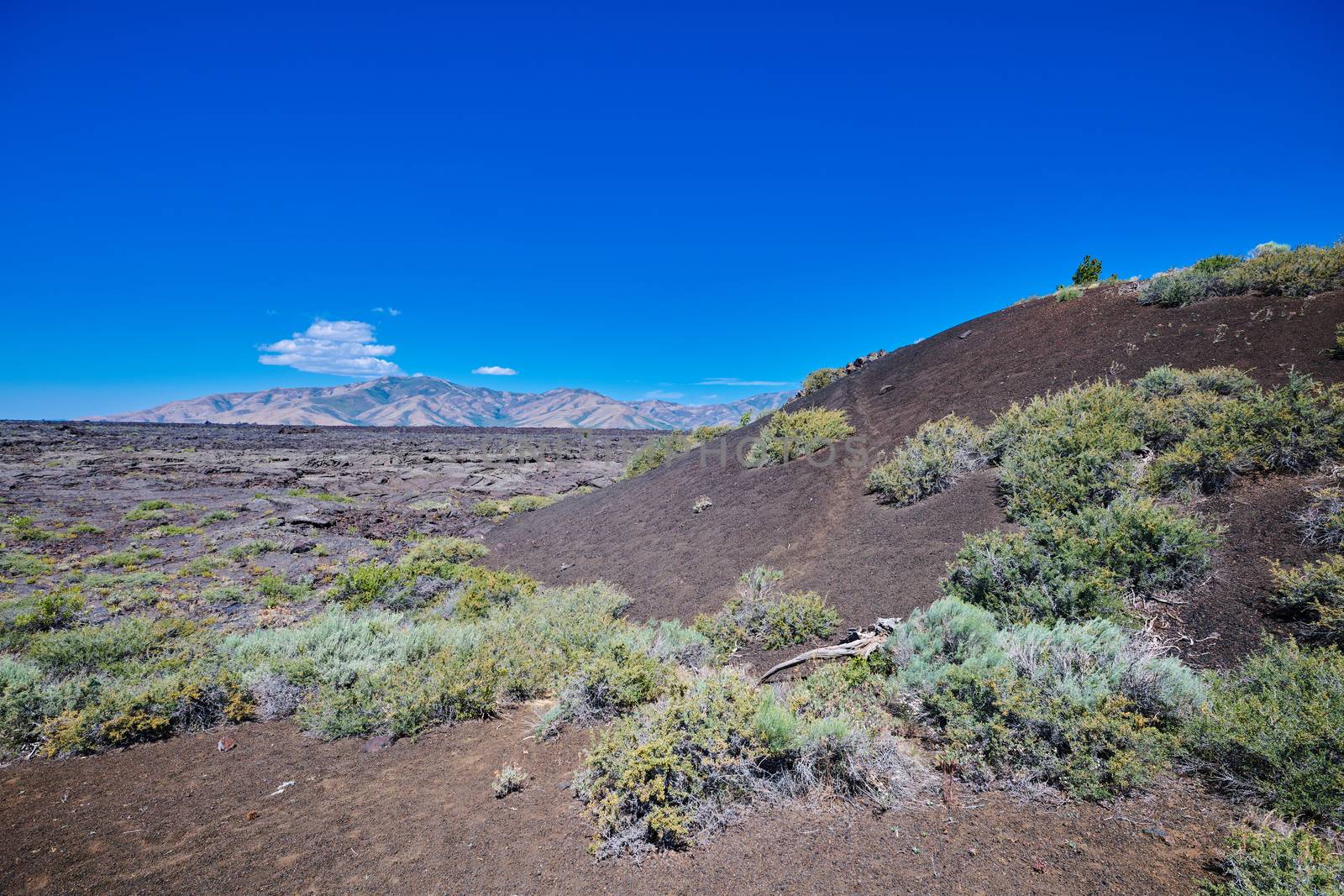 Cinder Cone with the Pioneer Mountains in the background at Crat by patrickstock