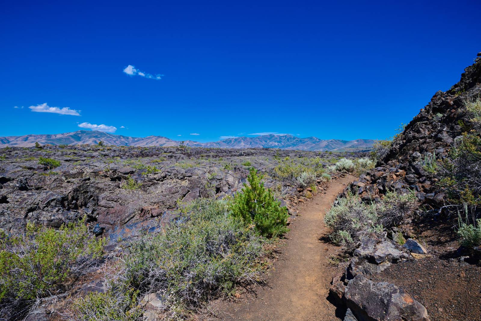 Hiking trail by lava flows at Craters of the Moon National Park.