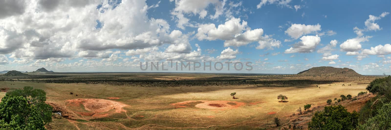 High resolution panorama of flat African savanna with dramatic clouds. Tsavo East national park, Kenya