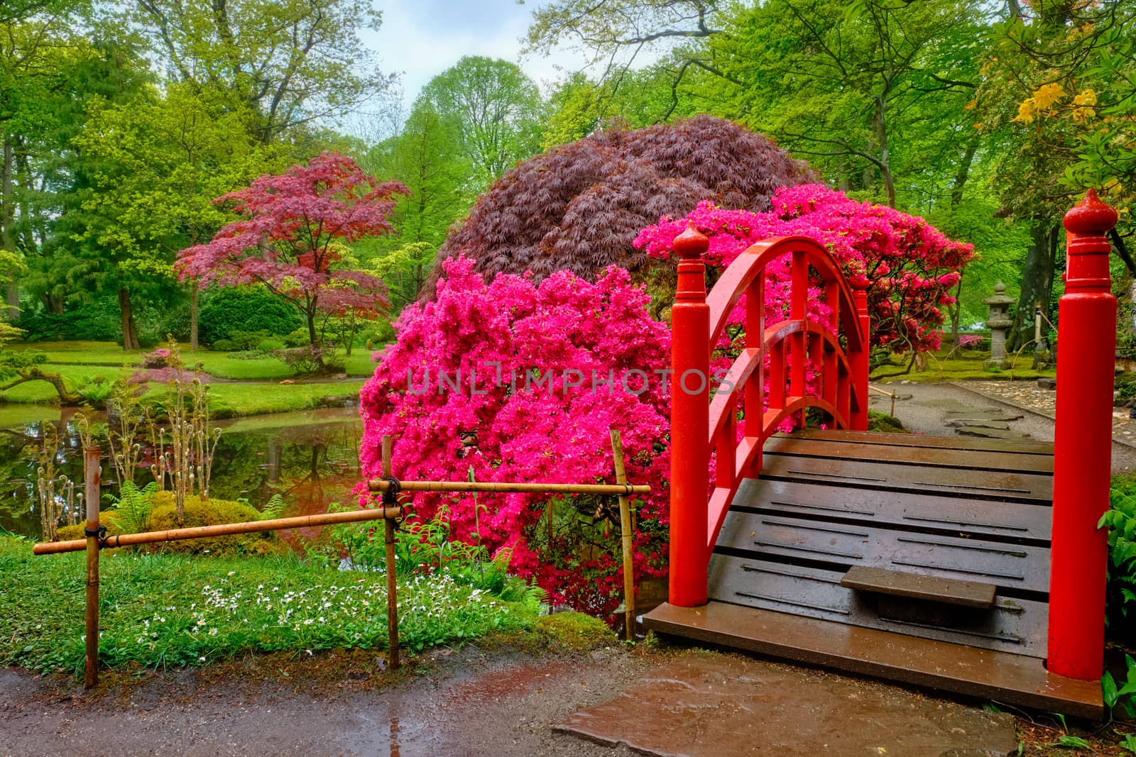 Small bridge in Japanese garden, Park Clingendael, The Hague, Netherlands