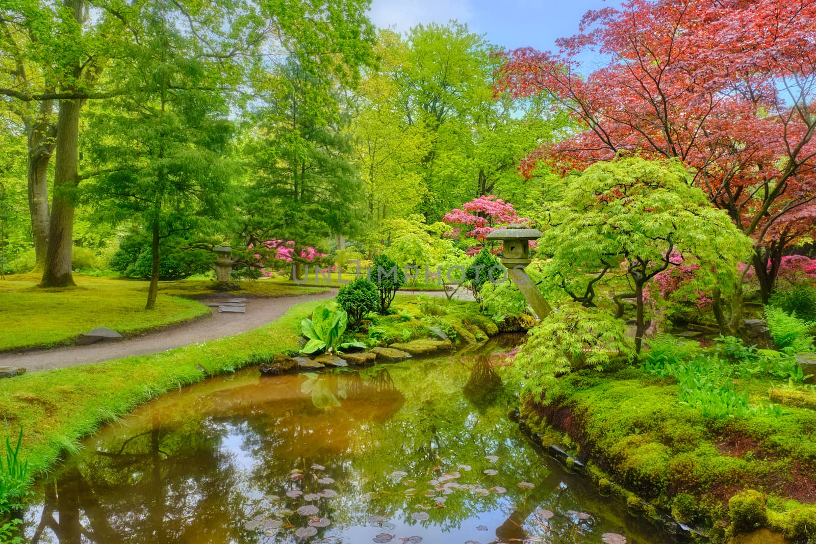 Japanese garden, Park Clingendael, The Hague, Netherlands by dimol