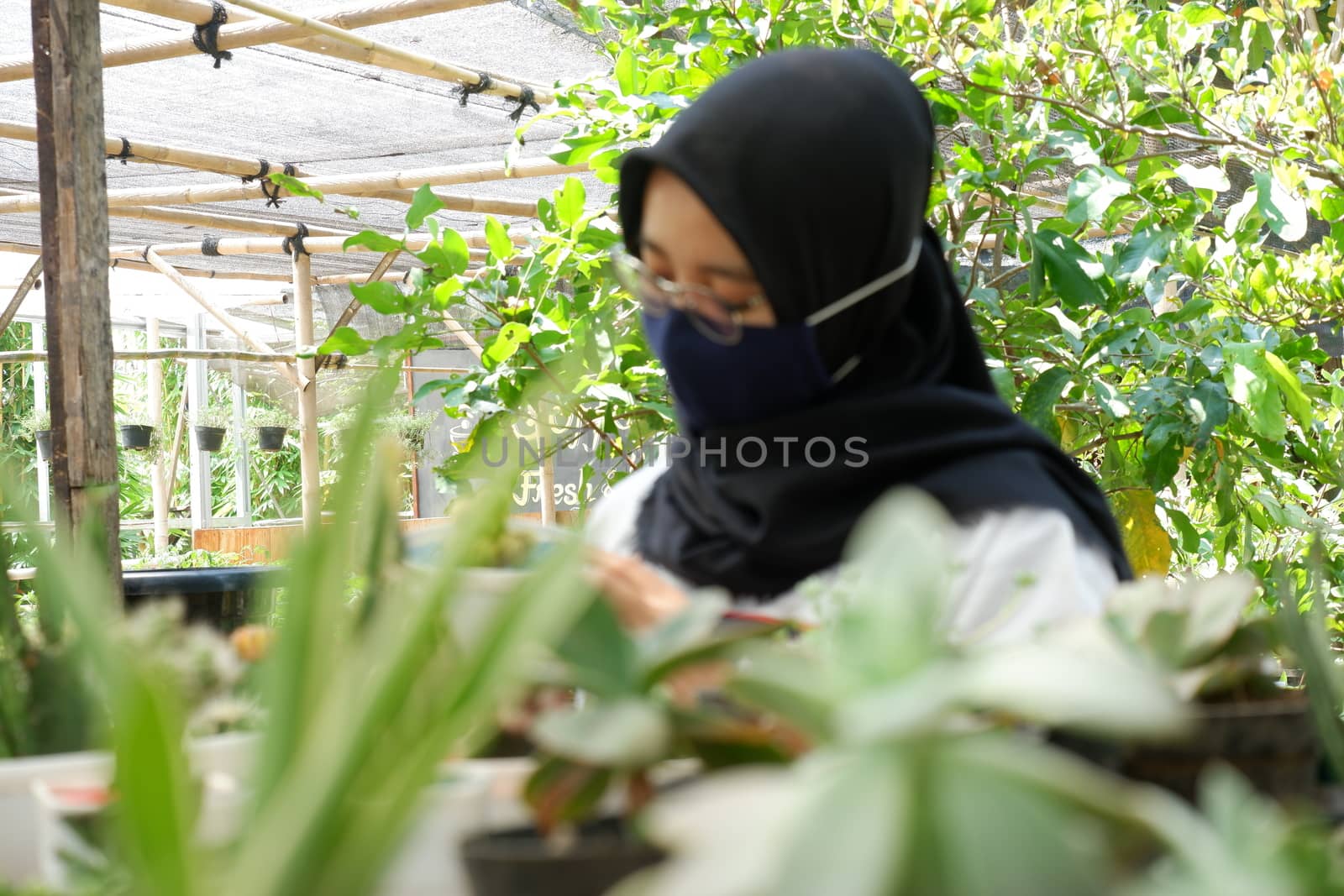 portrait of a beautiful Asian girl in a veil and wearing a mask holding a small cactus in a flower garden