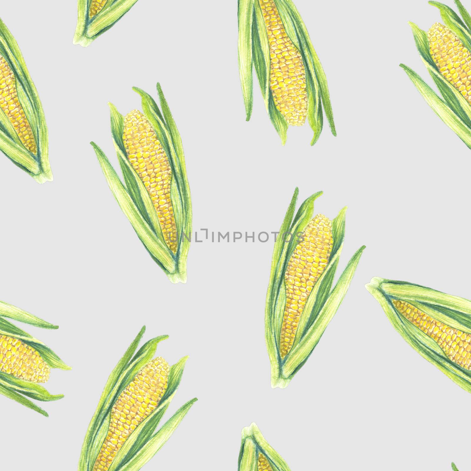 Seamless Pattern of corn cobs with leaves on grey background. Eco vegetables plants. Shop design, healthy lifestyle, packaging, textile. Hand drawn watercolour illustration. Botanical realistic art.