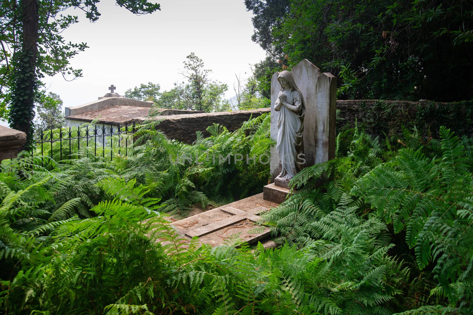 Grave with a statue of Maria on it surrounded completely with ferns in summertime on the isle of Corsica in France. The roof of a tombhouse is seen in background