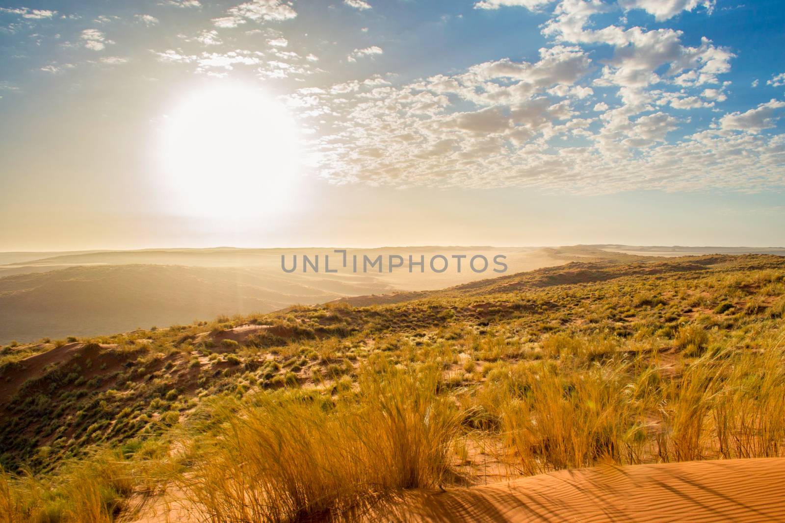 Dreamy dune landscape during sunset of the dunes in Sossusvlei, Namibia. Travel, tourism and adventure in Africa.