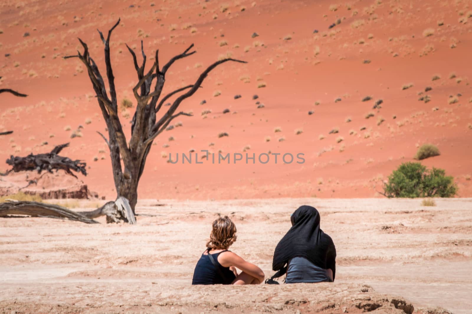 Sossusvlei, Namibia, November 2012: two woman overlooking the deadvlei, red sand and dead trees, taking cover for the heat in Namibia