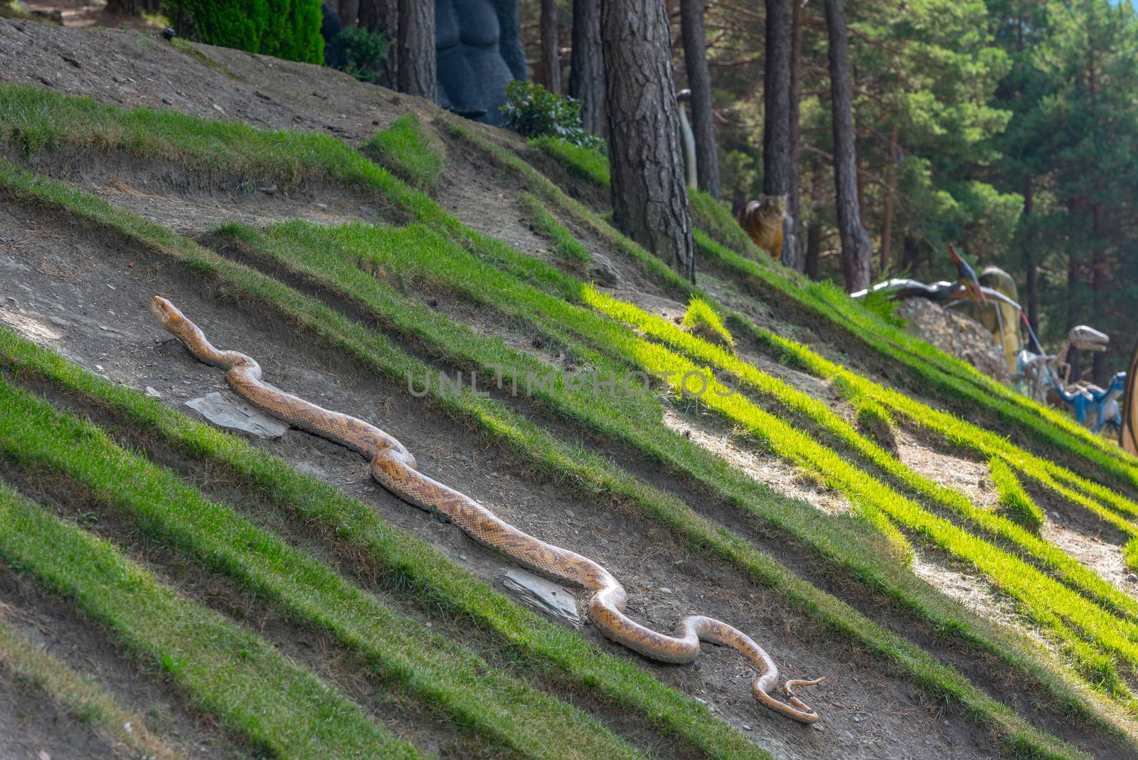 Juberri Sant Julia de Loria, Andorra: August 27 2020: Sculptures in Jardins de Juberri in summer 2020 in the Pyrenees of Andorra.