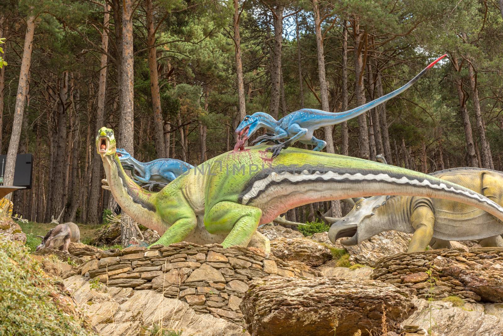 Sculptures in Jardins de Juberri in summer 2020 in the Pyrenees of Andorra. by martinscphoto