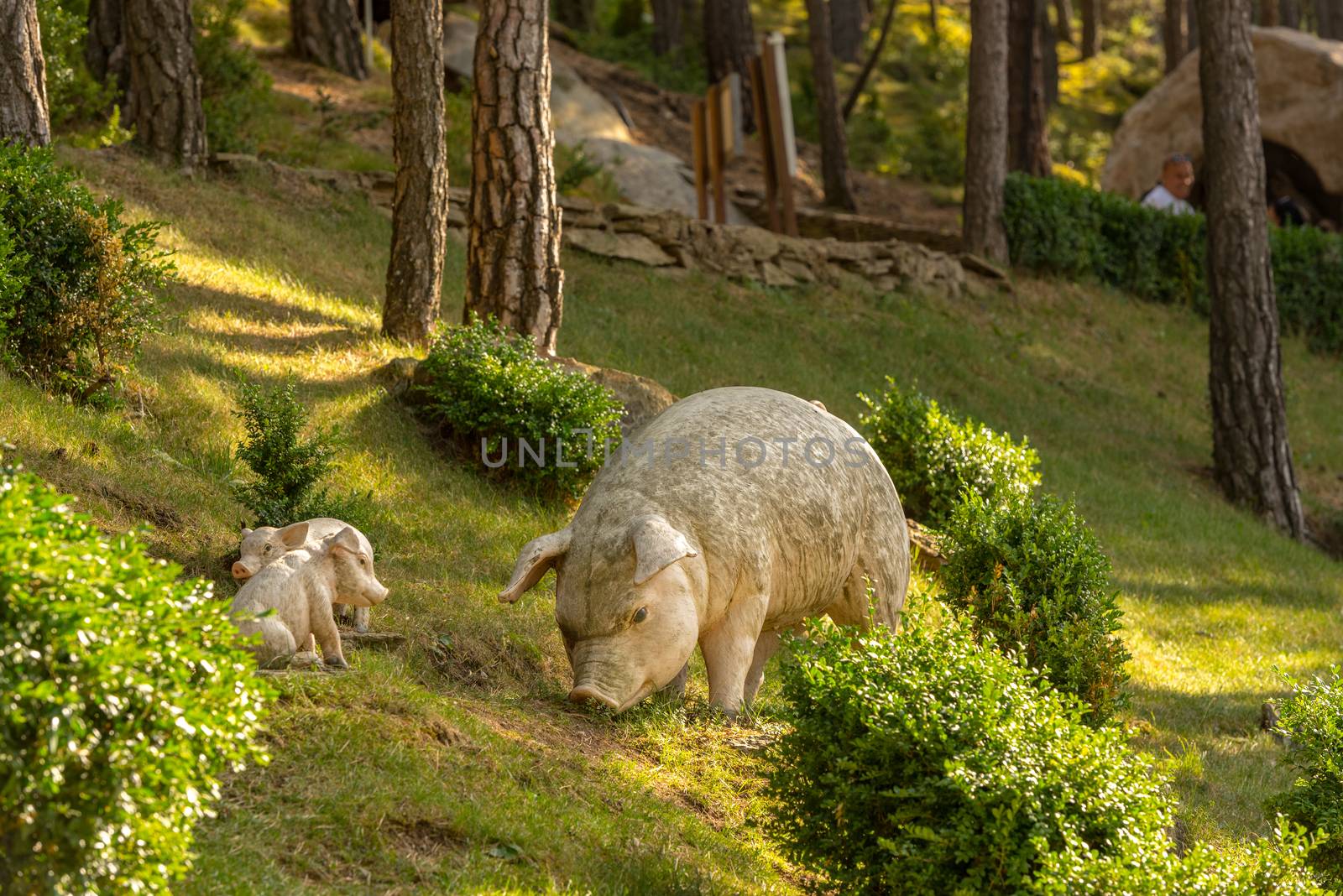 Sculptures in Jardins de Juberri in summer 2020 in the Pyrenees of Andorra. by martinscphoto