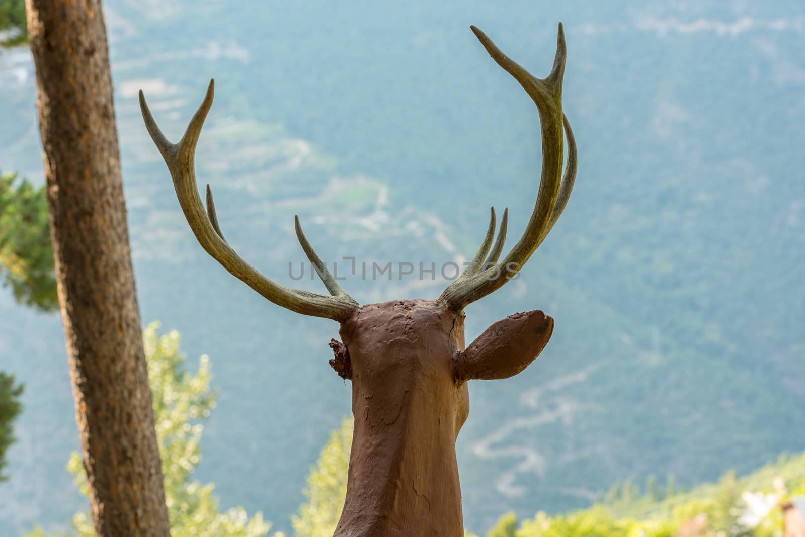 Sculptures in Jardins de Juberri in summer 2020 in the Pyrenees of Andorra. by martinscphoto