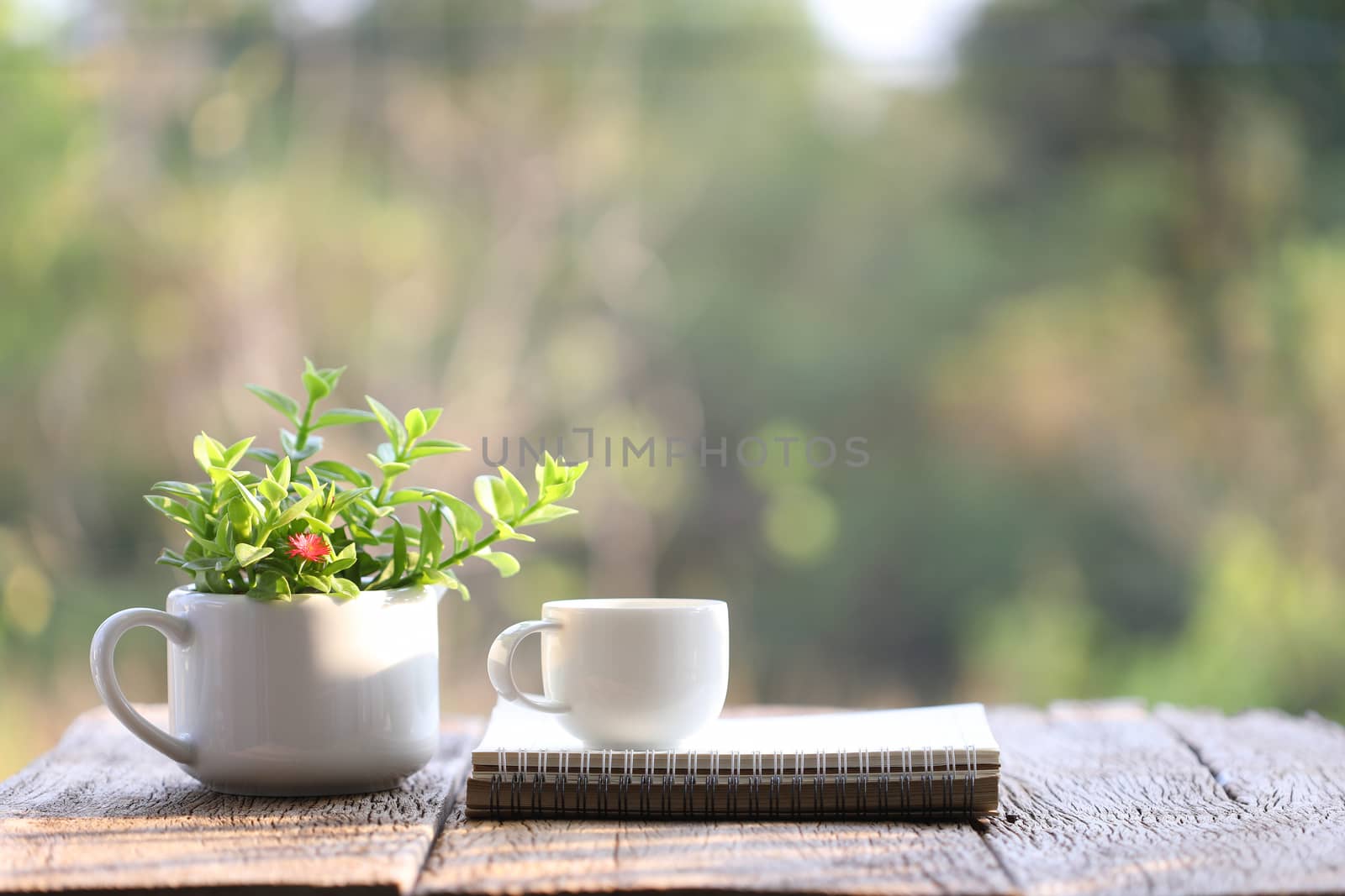 Spiral notebook and white coffee cup with plant in small cup pot on wooden table