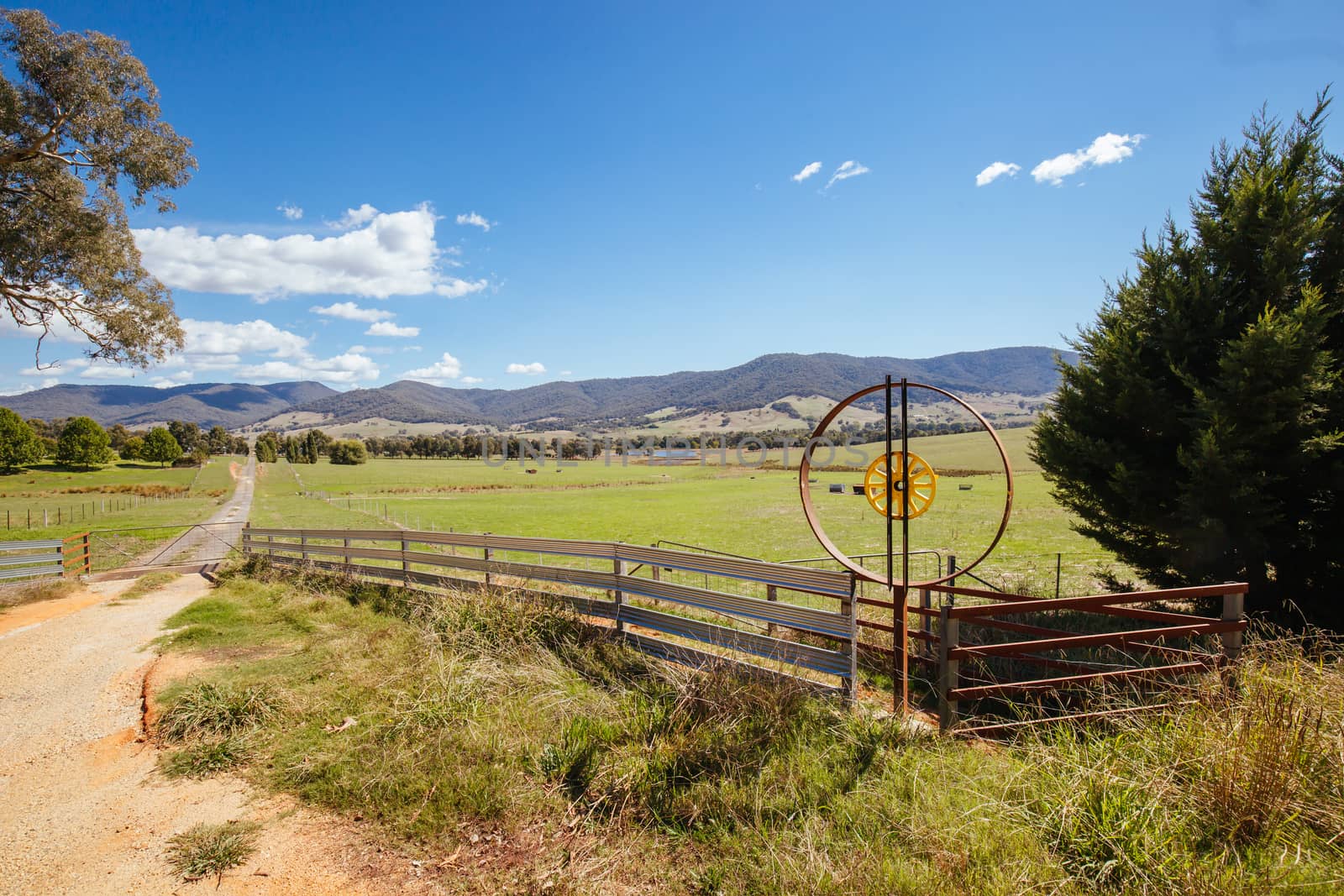 Classic Australian landscape and farm driveway in Allans Flat, near Yackandandah in Victoria Australia