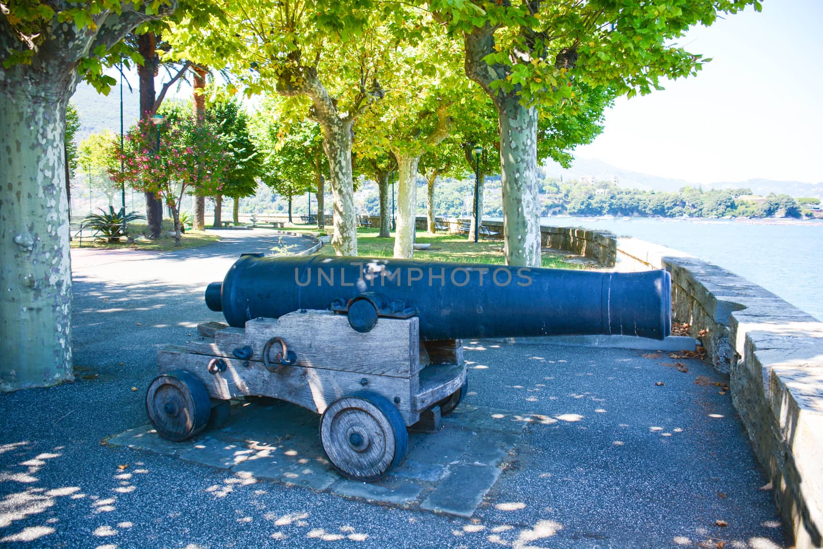 ancient cannon for castel and coast defense