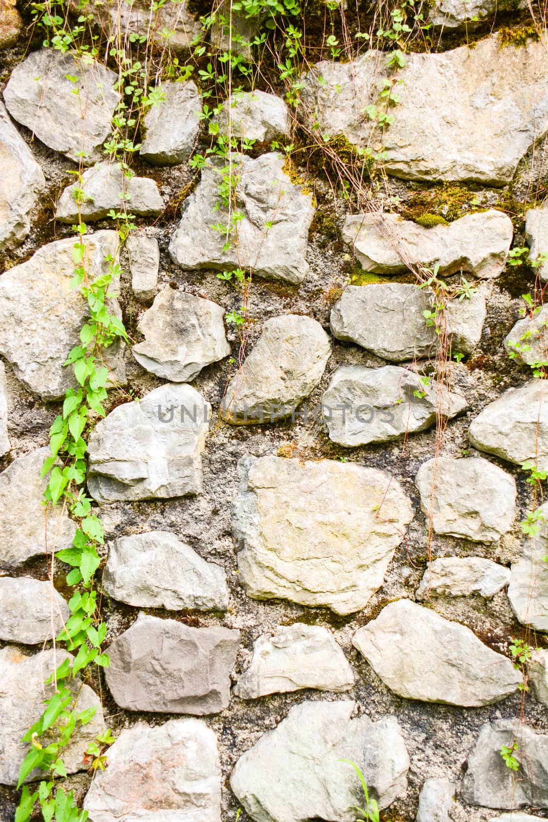 stone wall as a team by iacobino