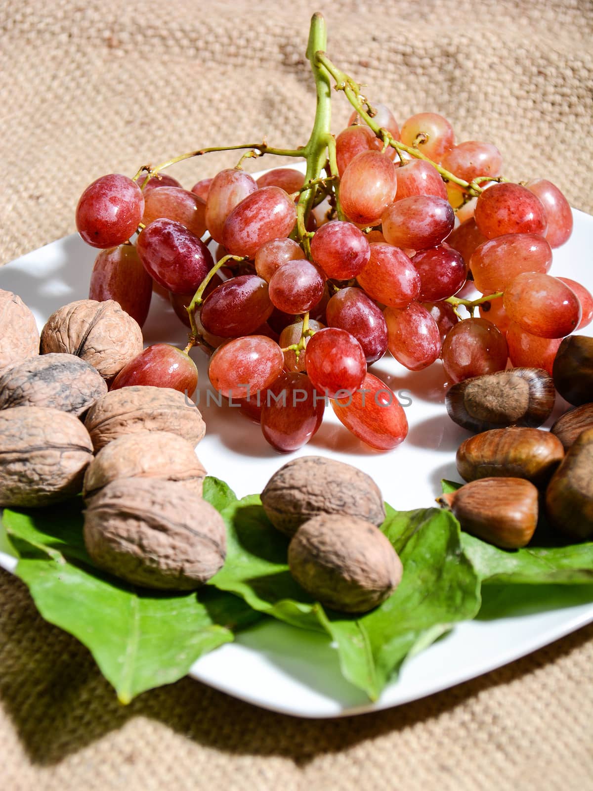 winter fruits freshly picked from Italian countryside