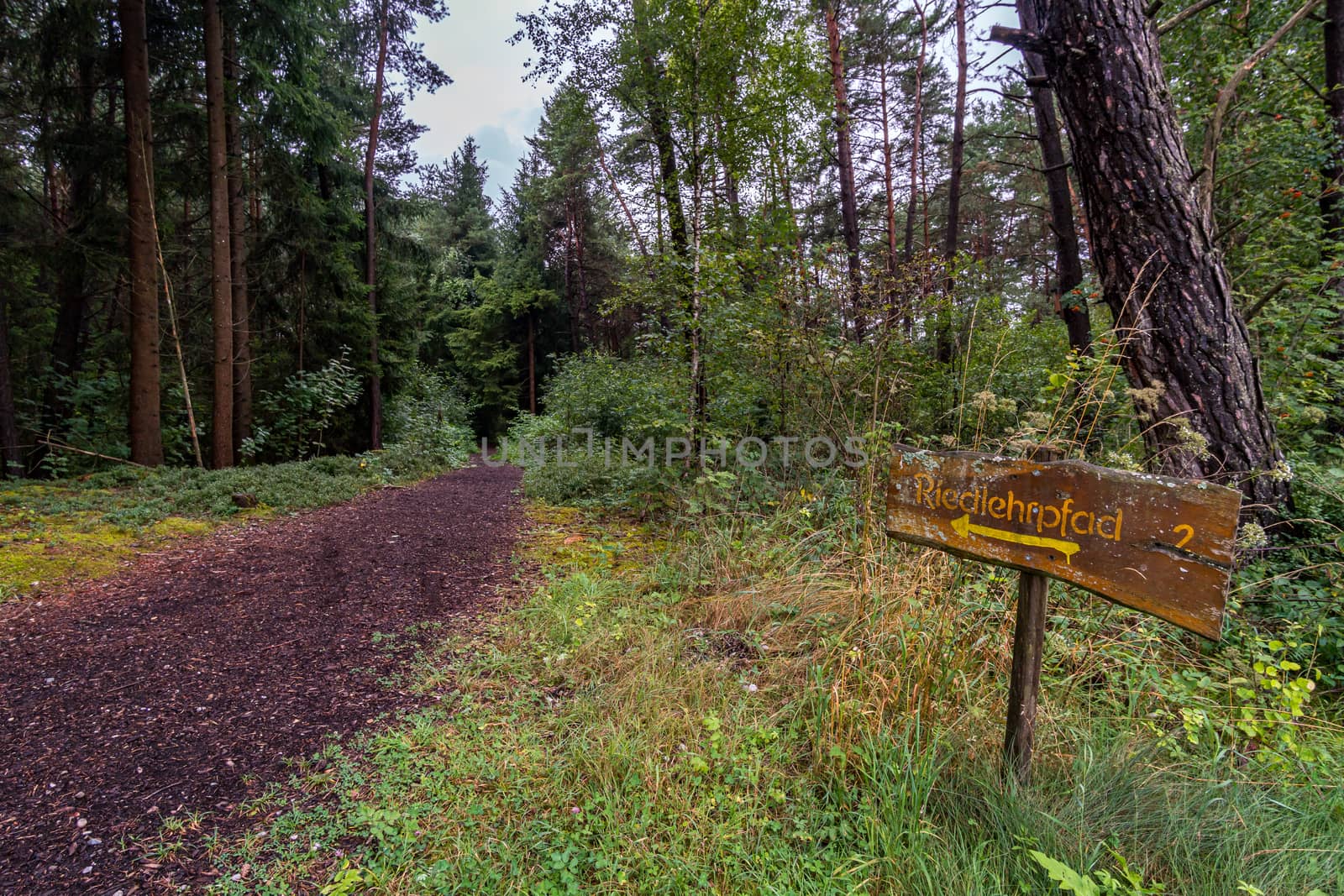 Nature reserve Wilhelmsdorf Pfrunger Ried in Upper Swabia by mindscapephotos