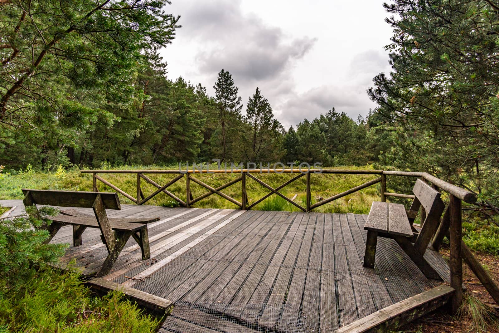 Nature reserve Wilhelmsdorf Pfrunger Ried in Upper Swabia by mindscapephotos