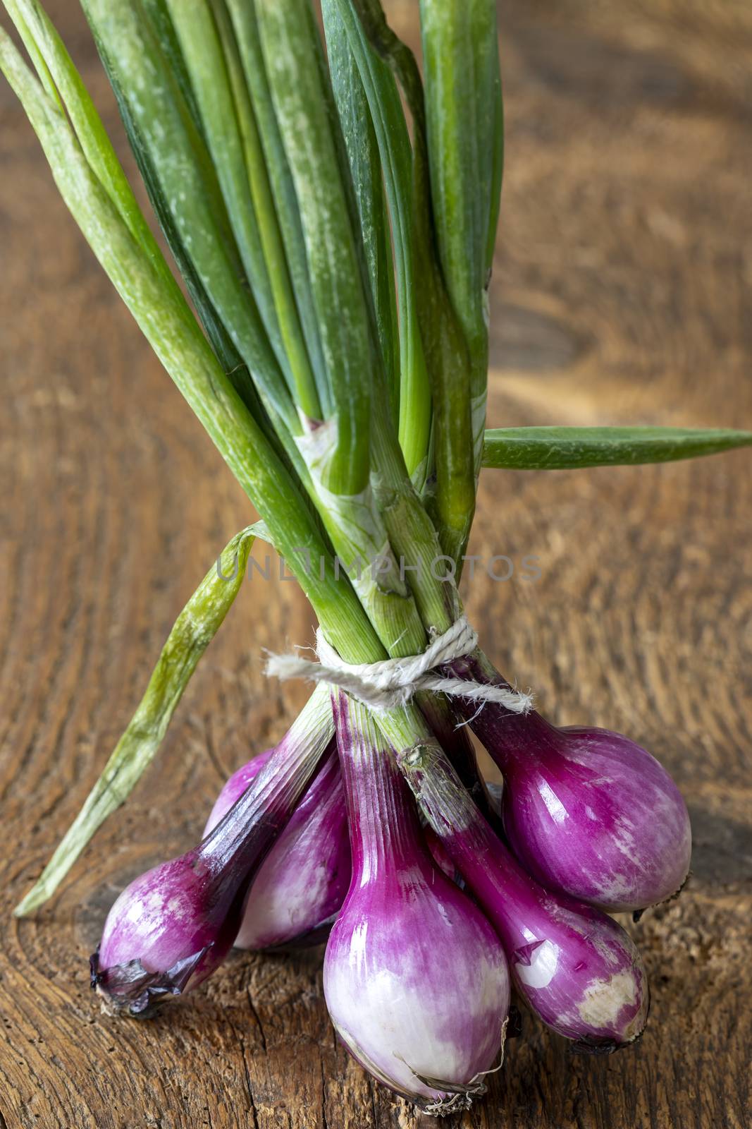 purple onions by bernjuer