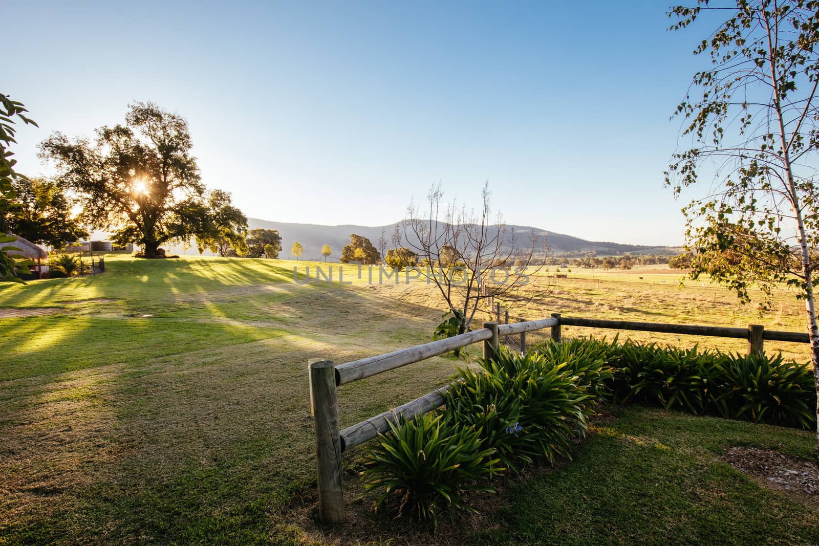 Classic Australian landscape in Allans Flat, near Yackandandah in Victoria Australia