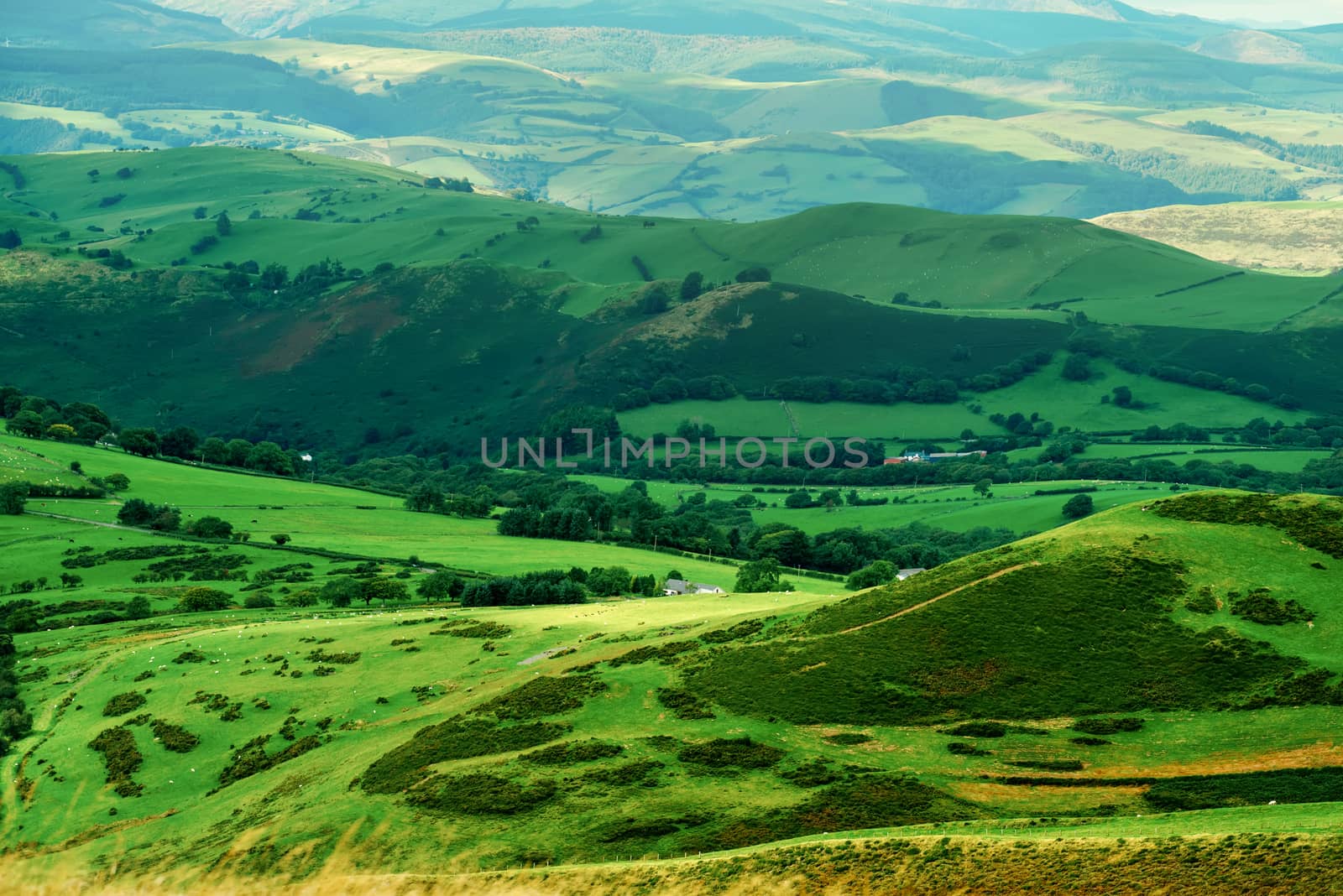 Usual rural landscape in Wales