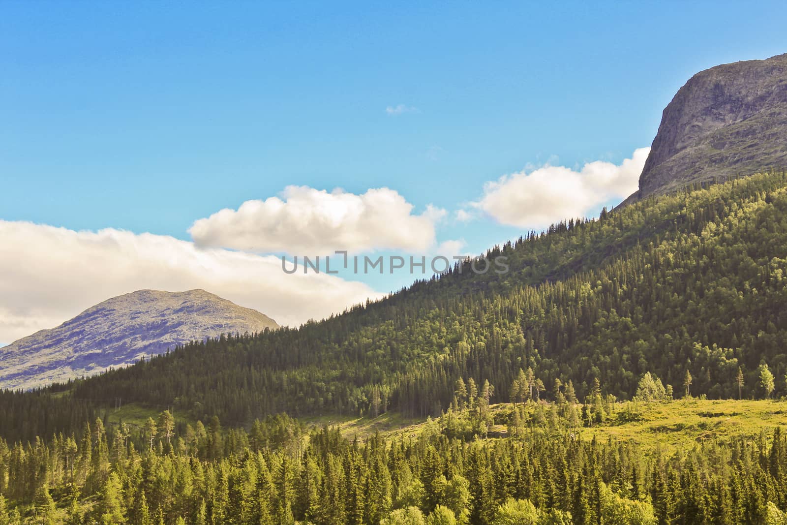 Spectacular landscape with mountains and valleys in Hemsedal, Buskerud, Norway. by Arkadij