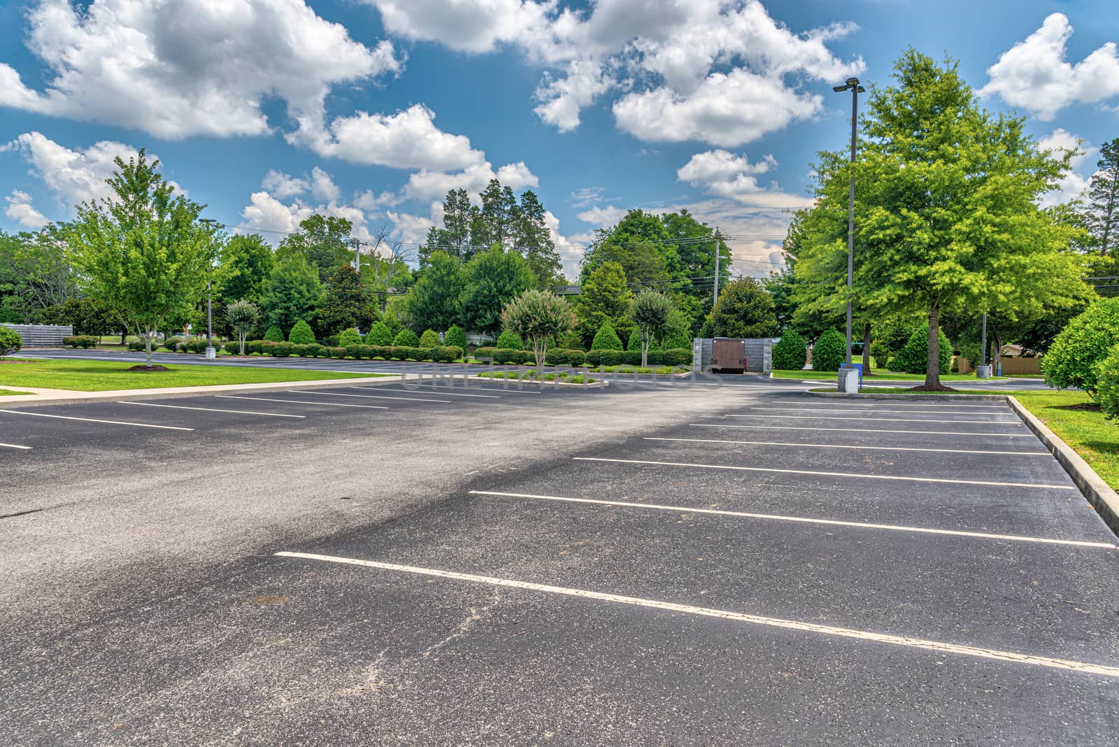 Vertical shot of an empty business parking lot during pandemic.