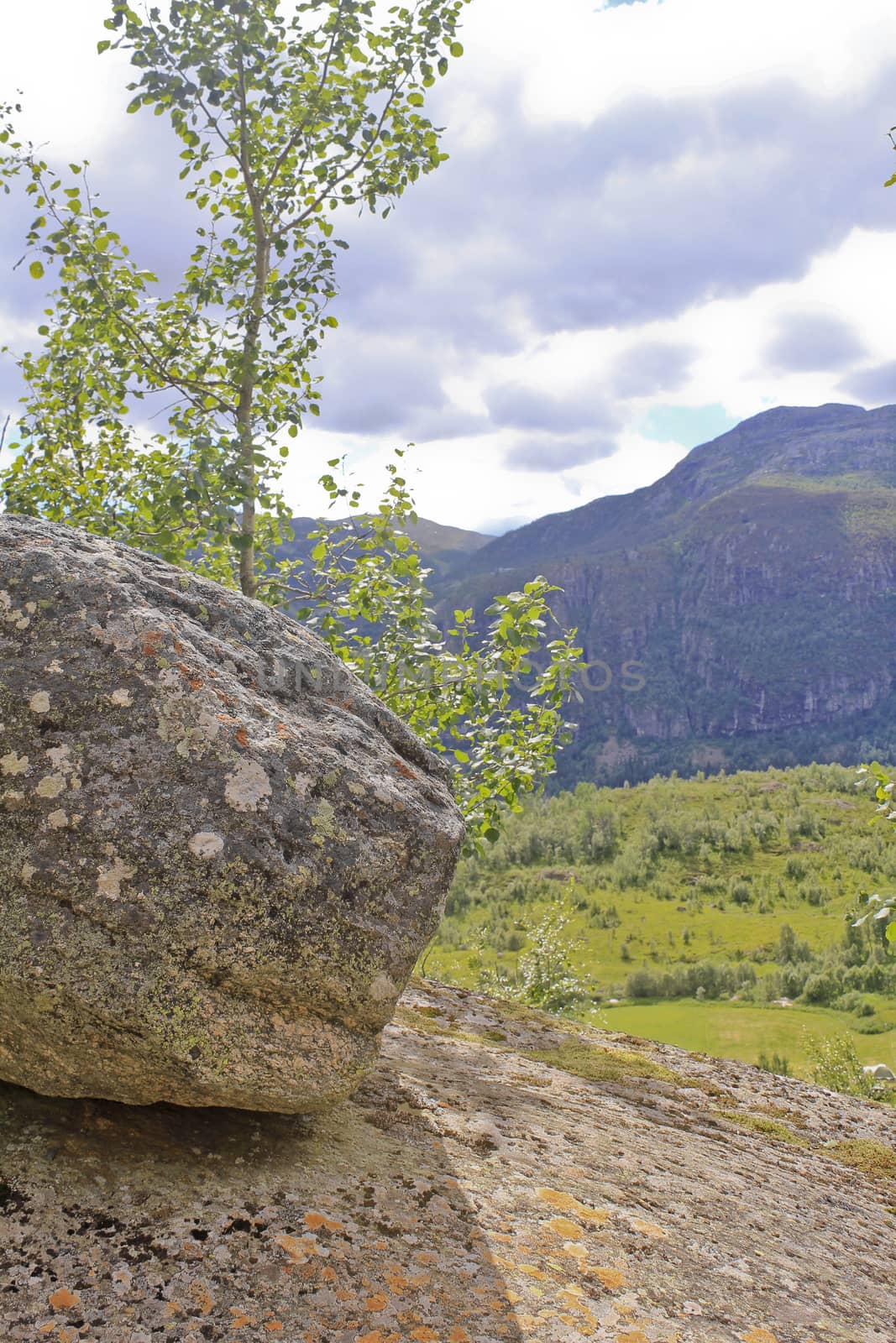 Big rock in Hemsedal, Buskerud, Norway. Spectacular landscape with mountains. by Arkadij