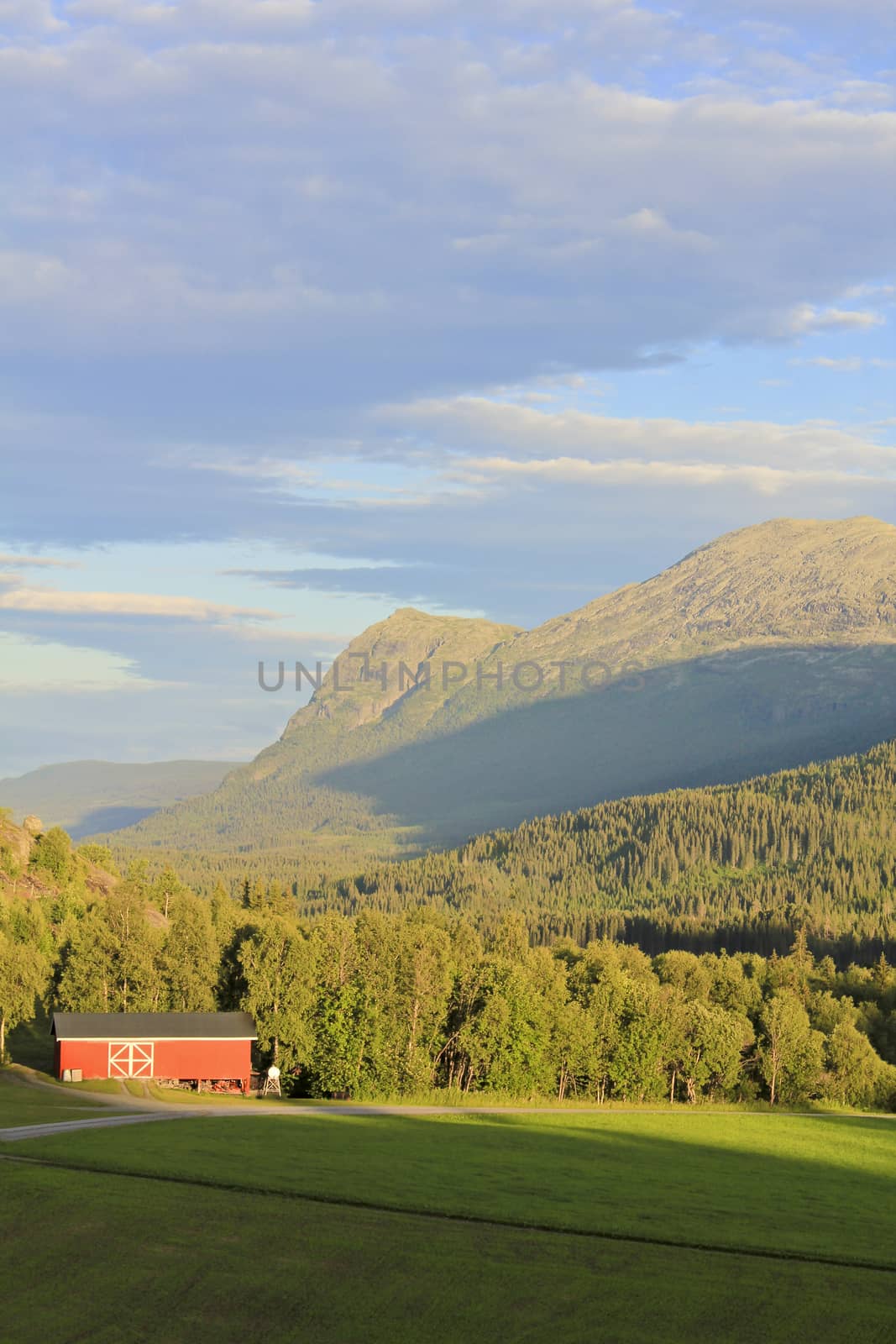 Norwegian, red farmhouse, countryside in Hemsedal, Buskerud, Norway. by Arkadij