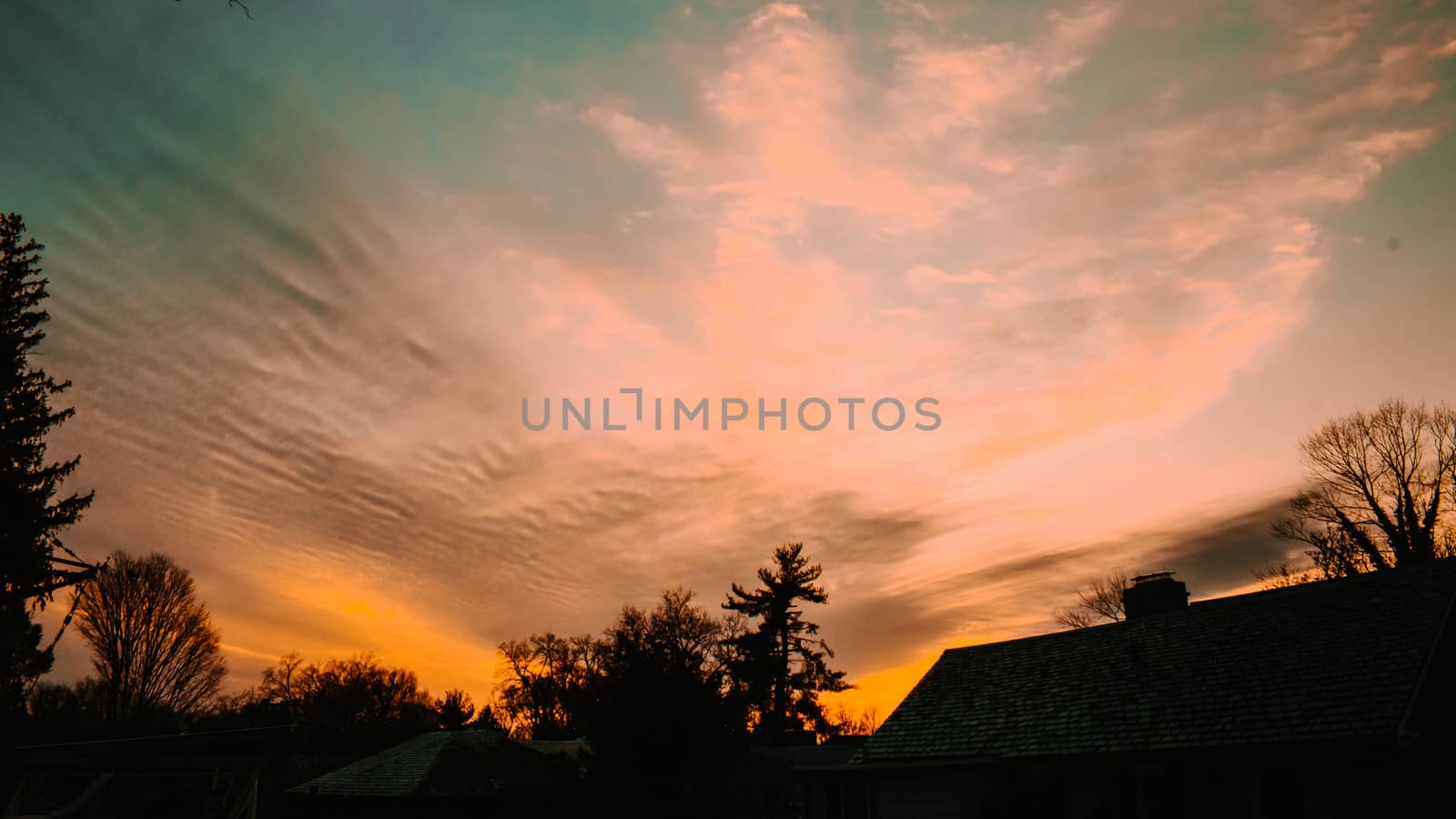 A Dramatic Orange and Blue Sunset With Whispy Clouds and Silhouetted Trees at the Bottom of the Frame