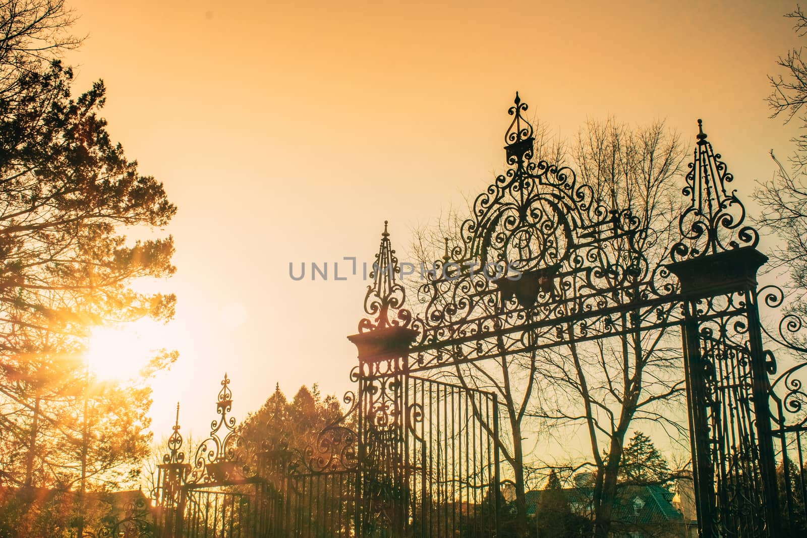 A Bright Yellow Sunset Behind an Ornamental Metal Gate by bju12290
