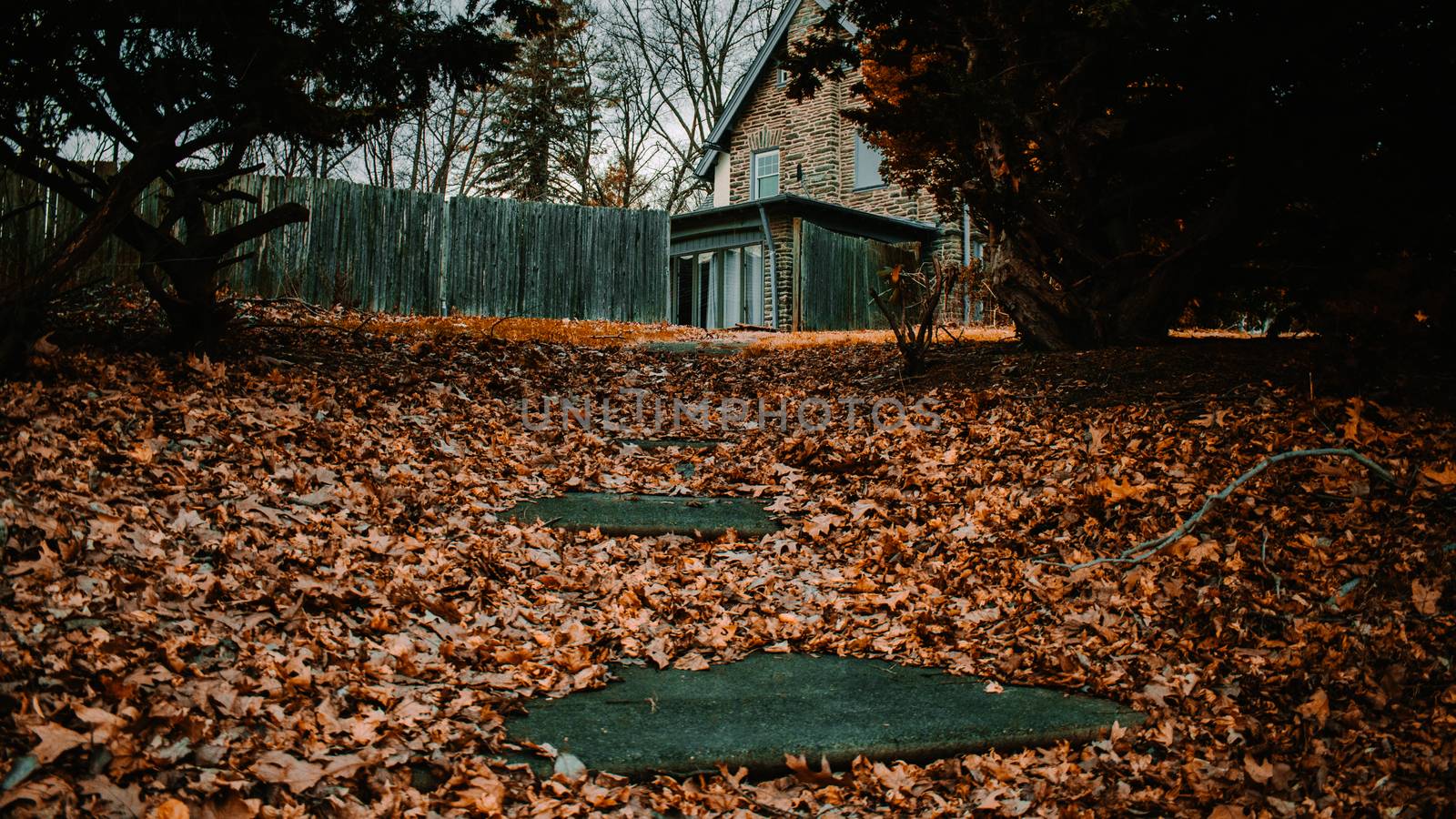 A Path Covered in Leaves Leading Up to a Hole in a Fence that le by bju12290