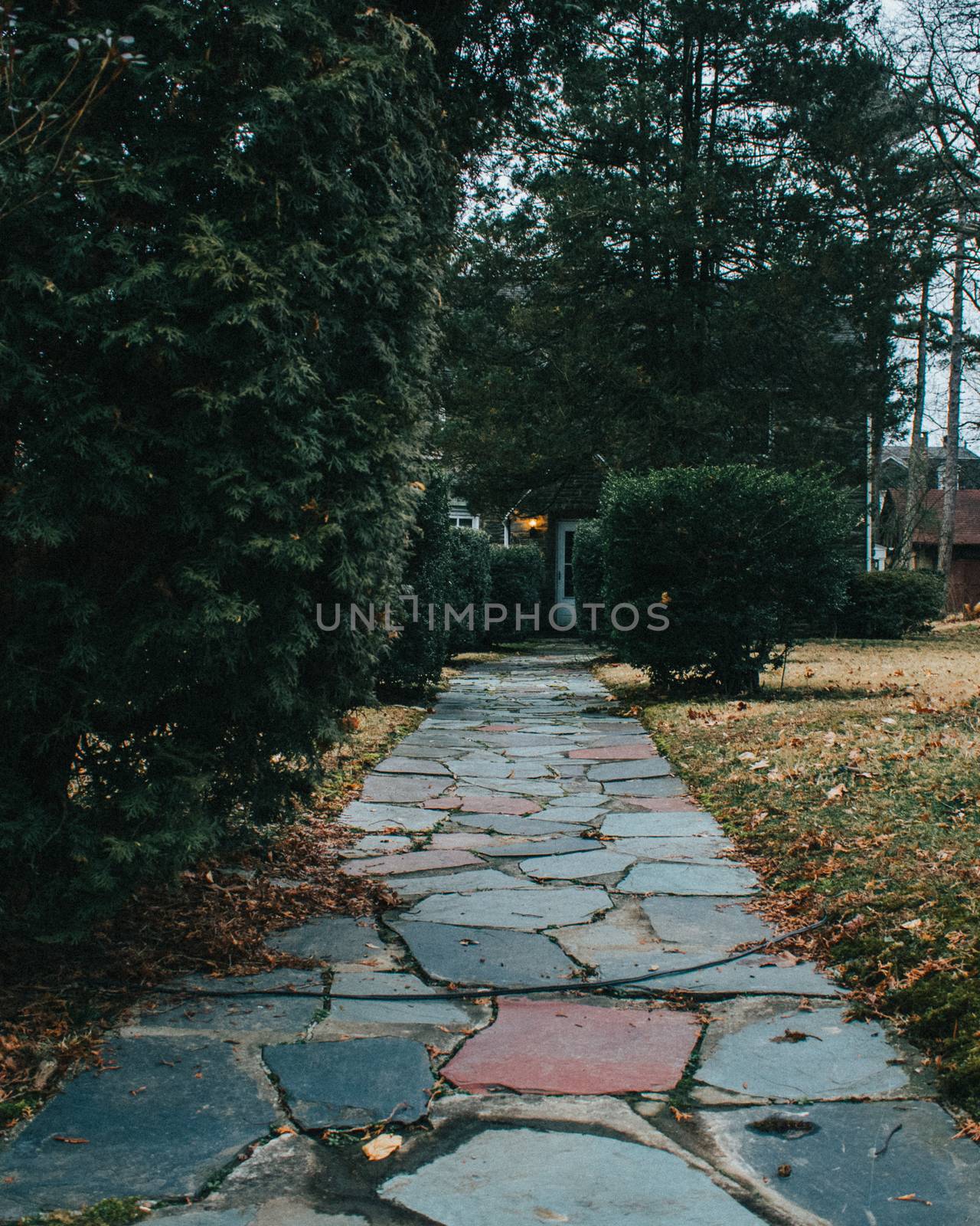 A Cobblestone Path Leading Up To The Front Door of a Home With Trees and Bushes on the Sides of the Path