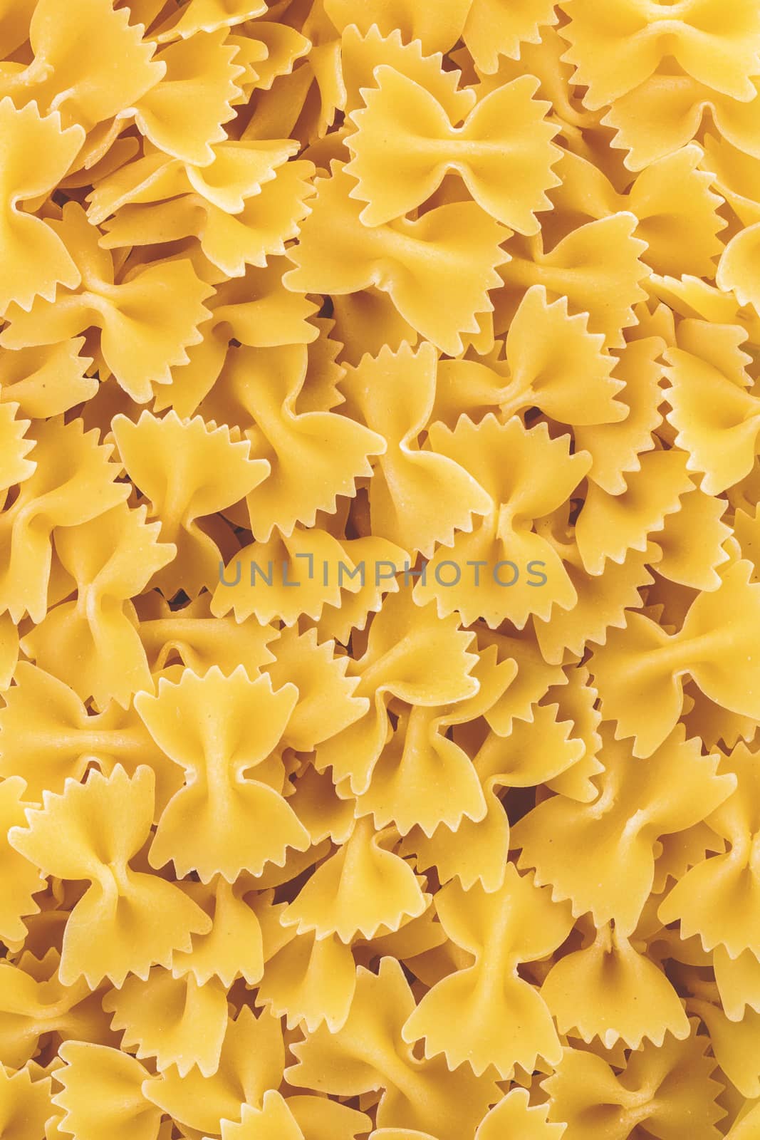 Farfalle pasta by germanopoli