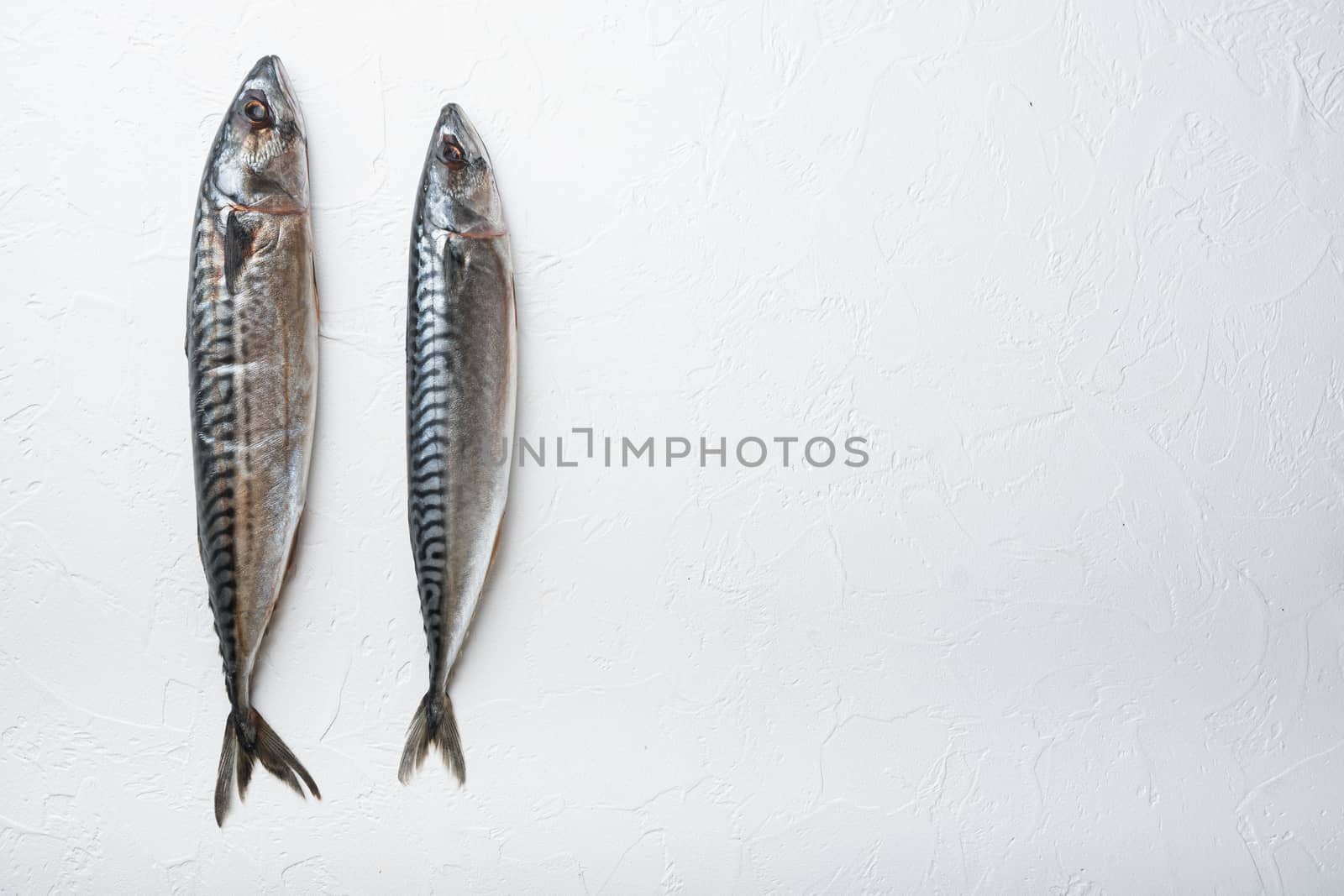Raw fish on white textured background, flat lay with space for text.