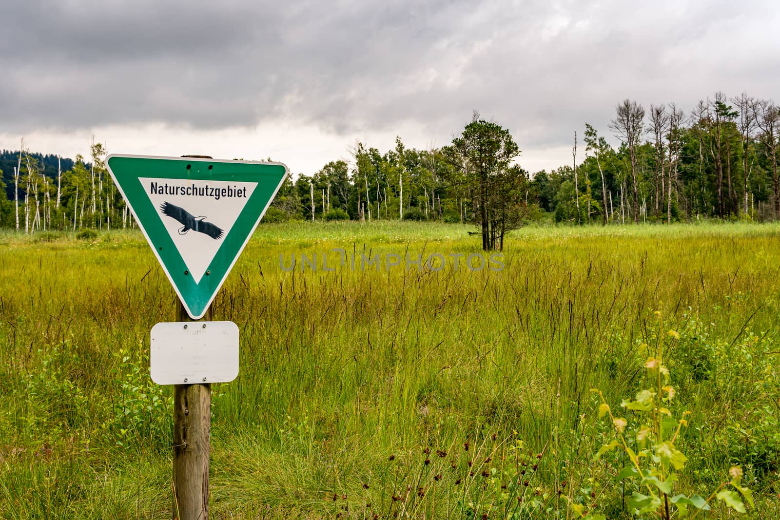 Nature reserve Wilhelmsdorf Pfrunger Ried in Upper Swabia by mindscapephotos