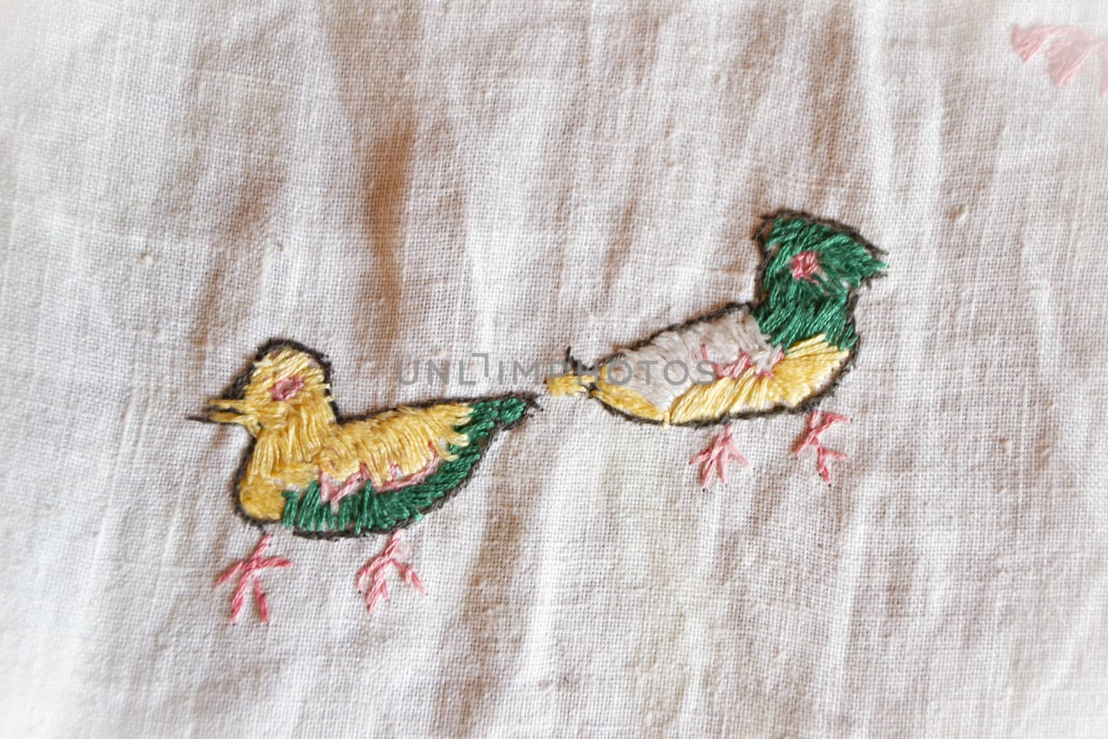 duck hand made embroidered smooth decoration on white fabric , vintage folk embroidery in Belarus, second half of 19 century